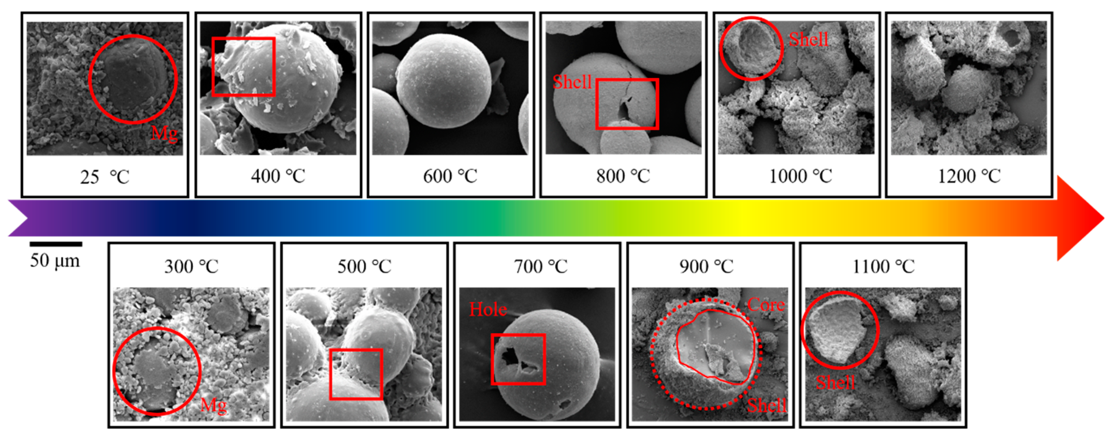 Metals 13 00417 g006 550