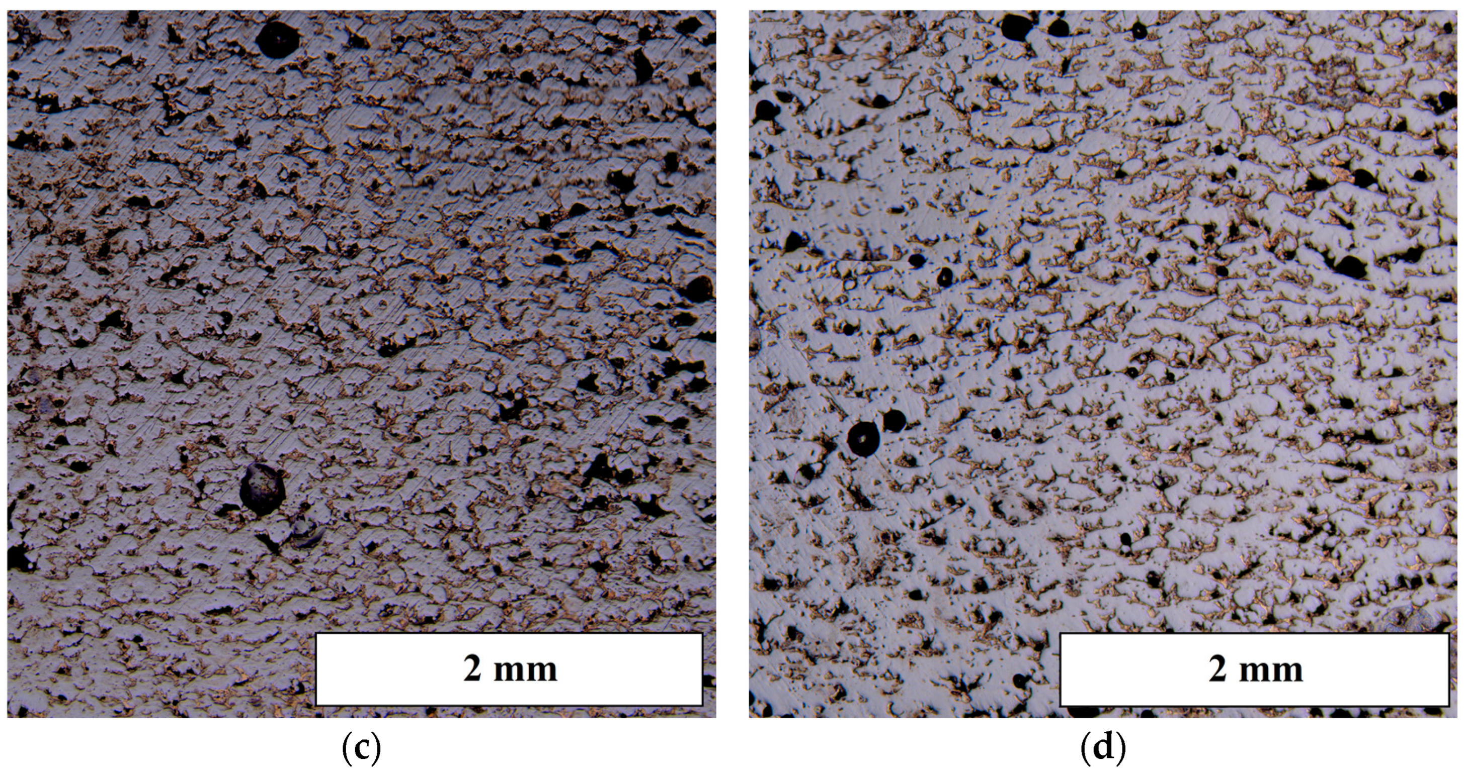 Metals 13 00428 g003b