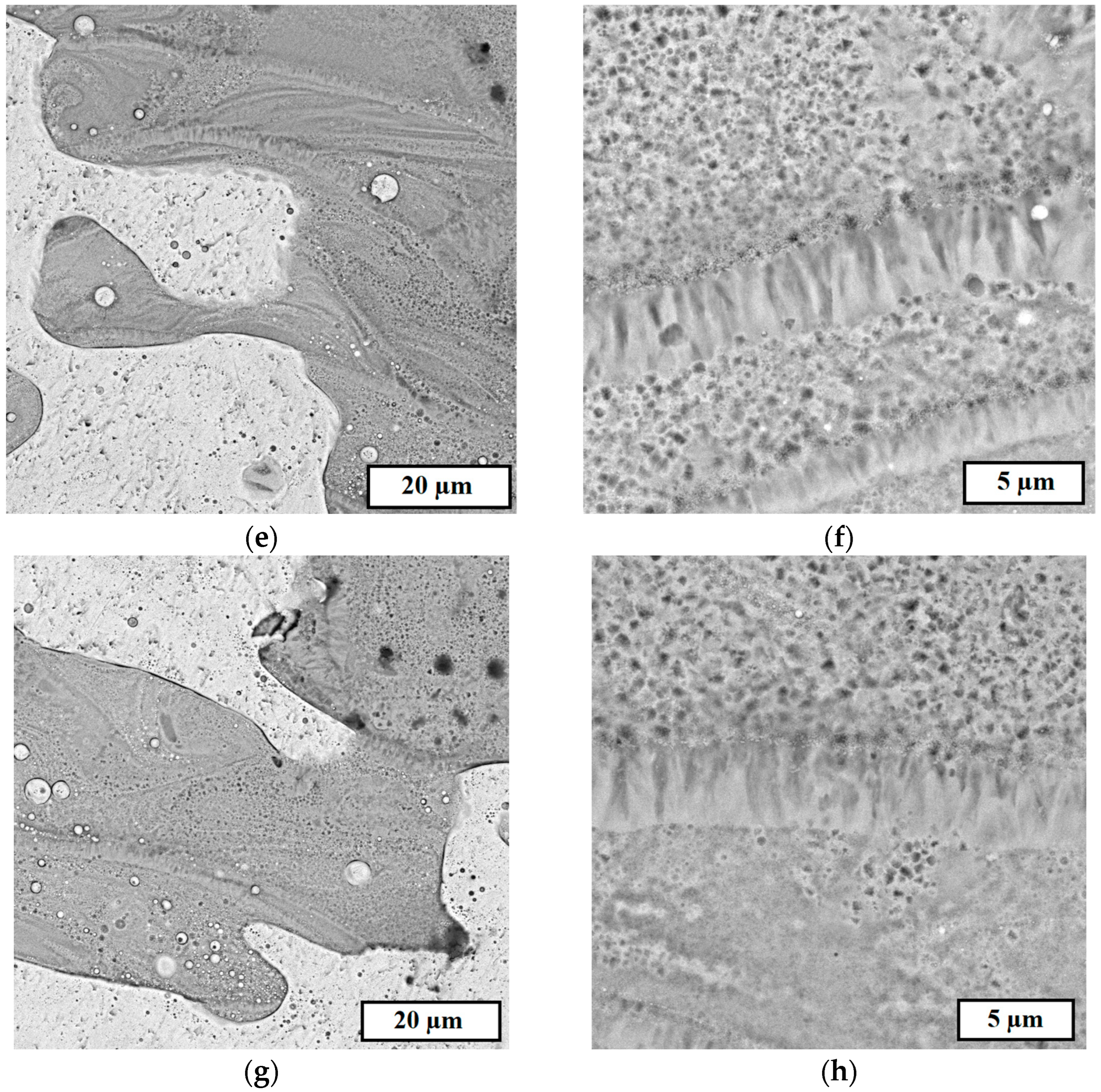 Metals 13 00428 g007b