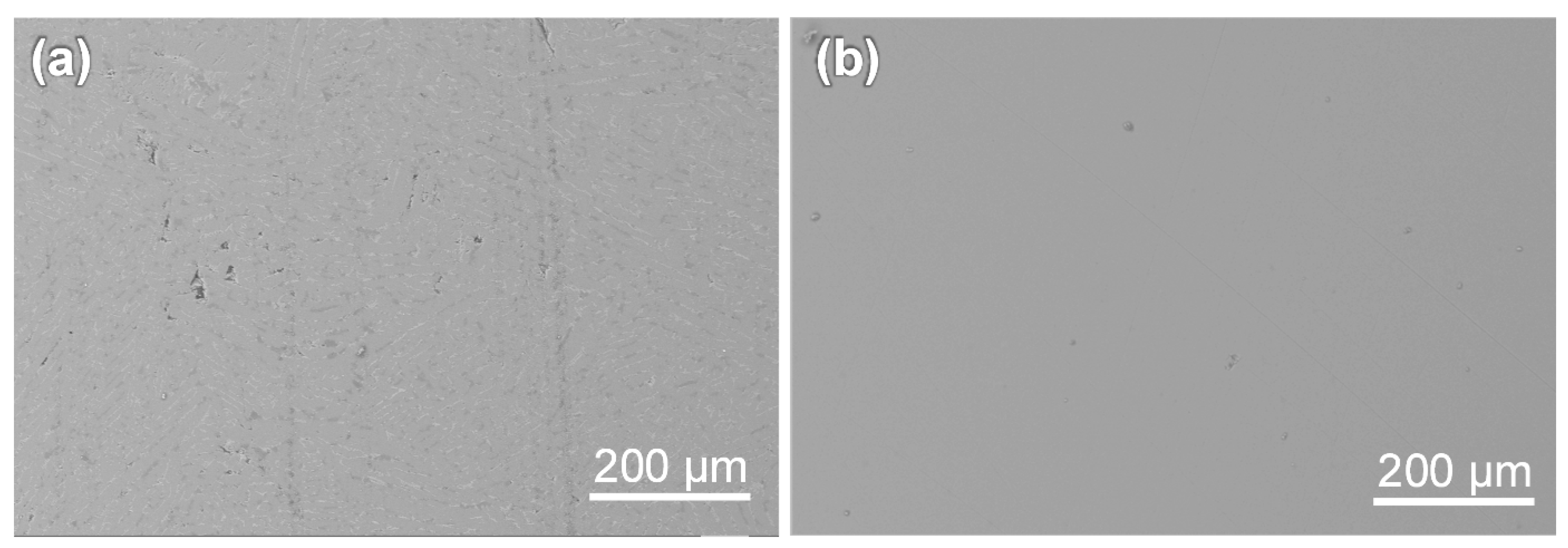 Metals 13 00431 g006 Metals 13 00431 g006