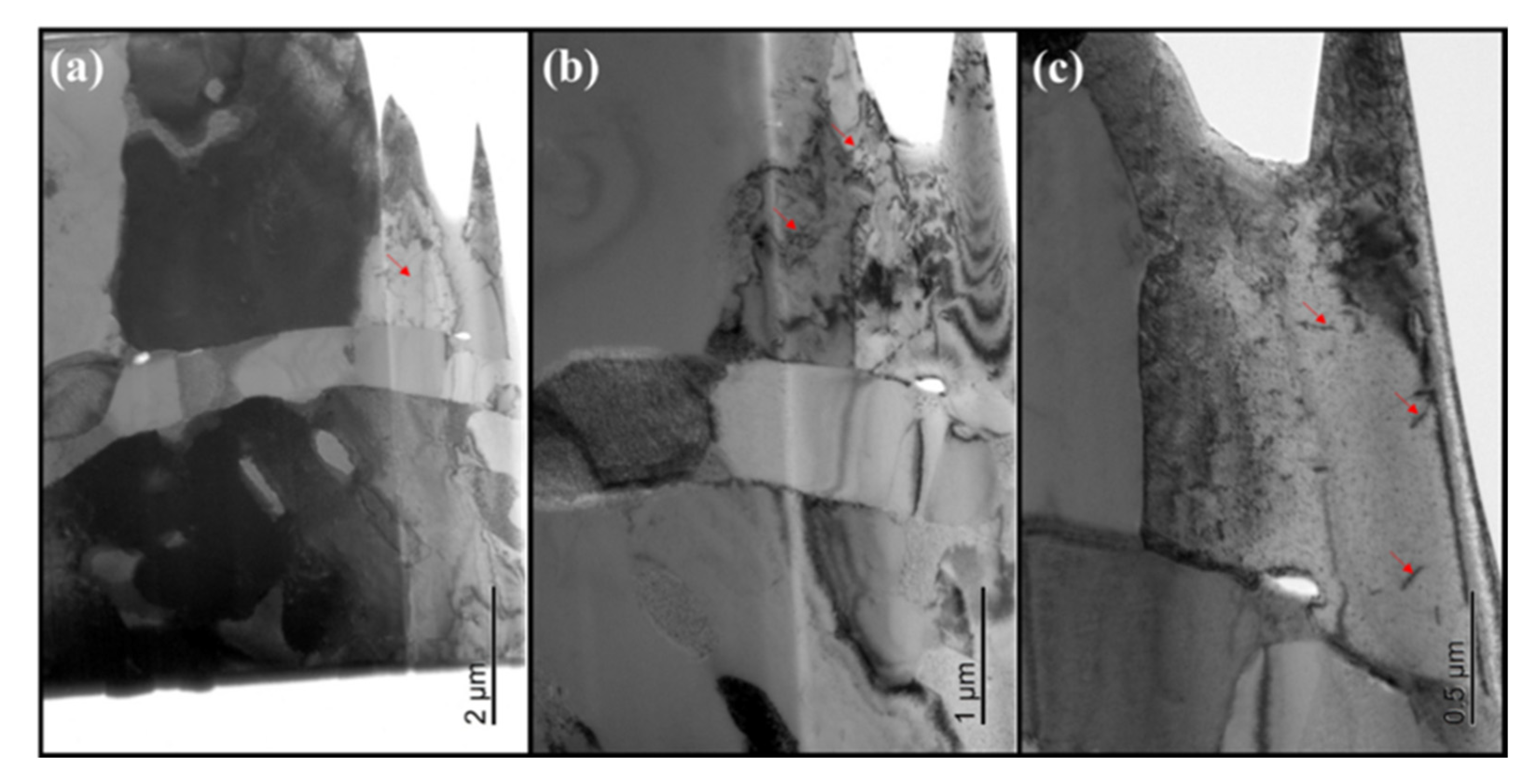 Metals 13 00432 g009 Metals 13 00432 g009