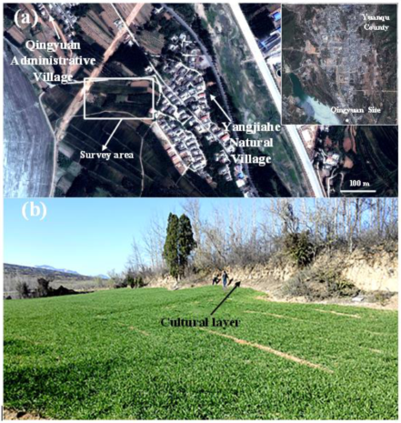 Metals 13 00435 g002