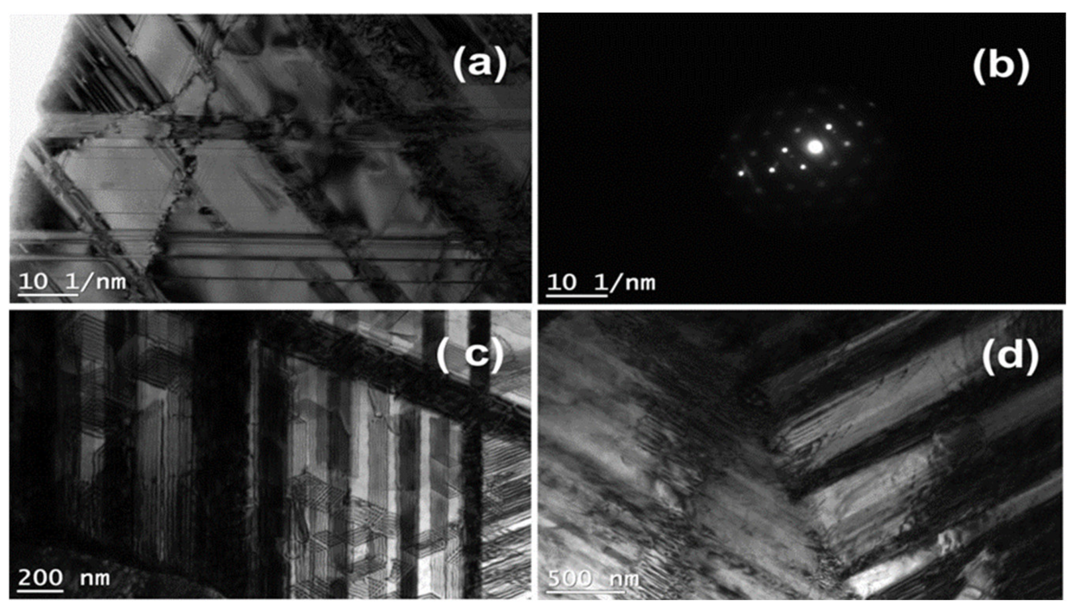 Metals 13 00447 g010