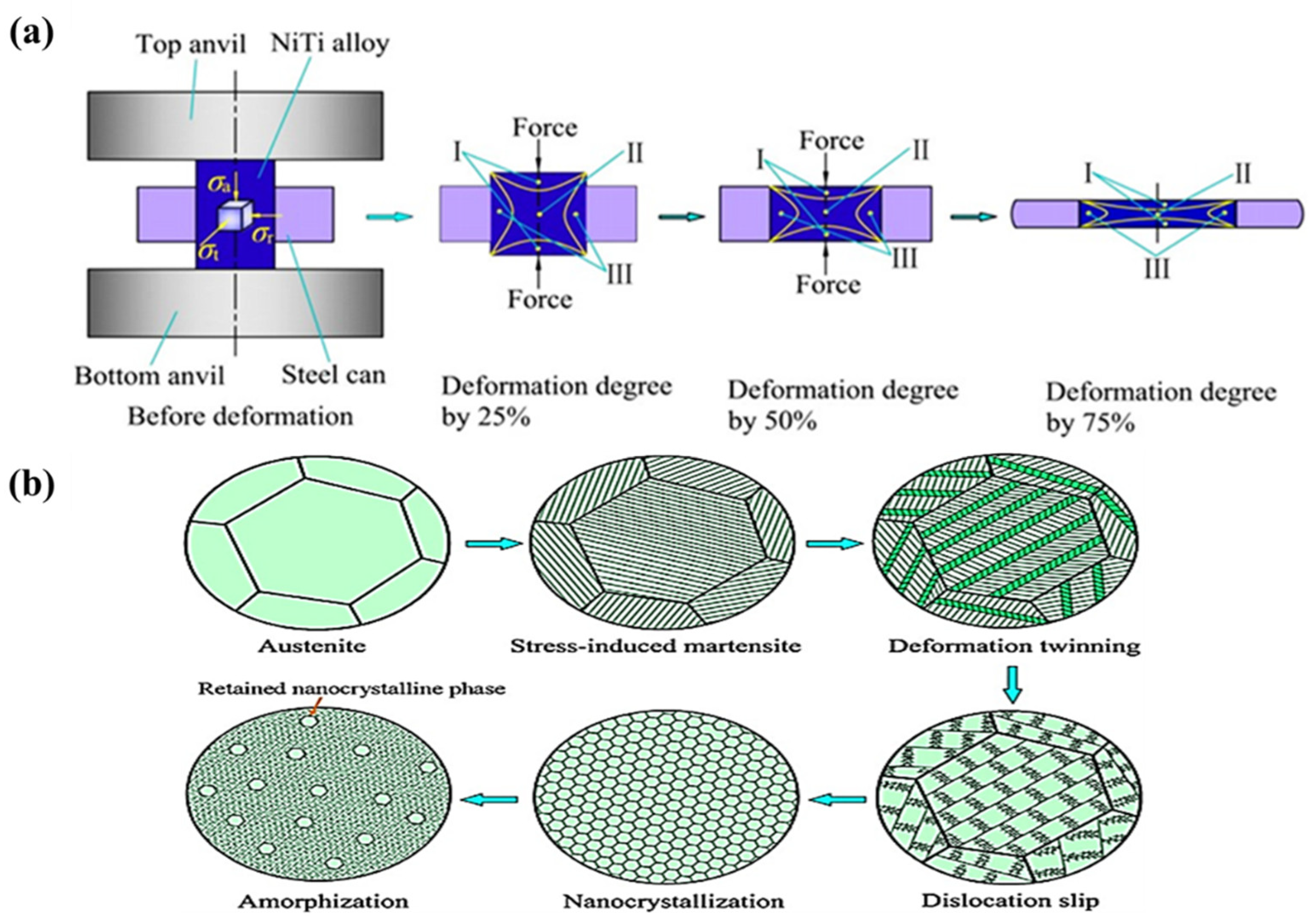 Metals 13 00447 g011