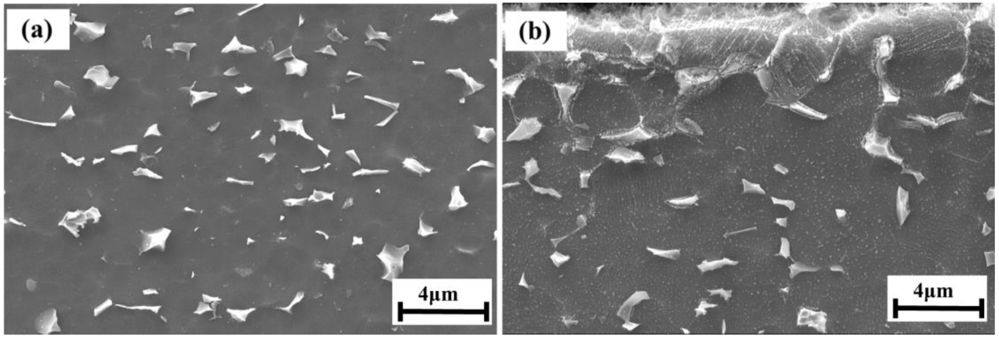 Metals 13 00449 g004