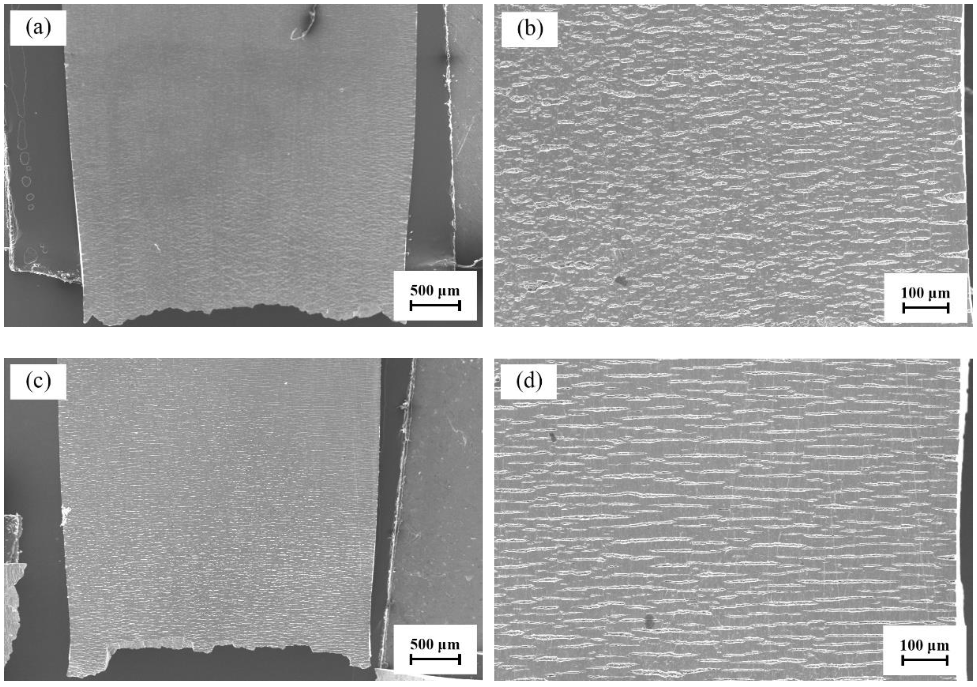 Metals 13 00449 g010