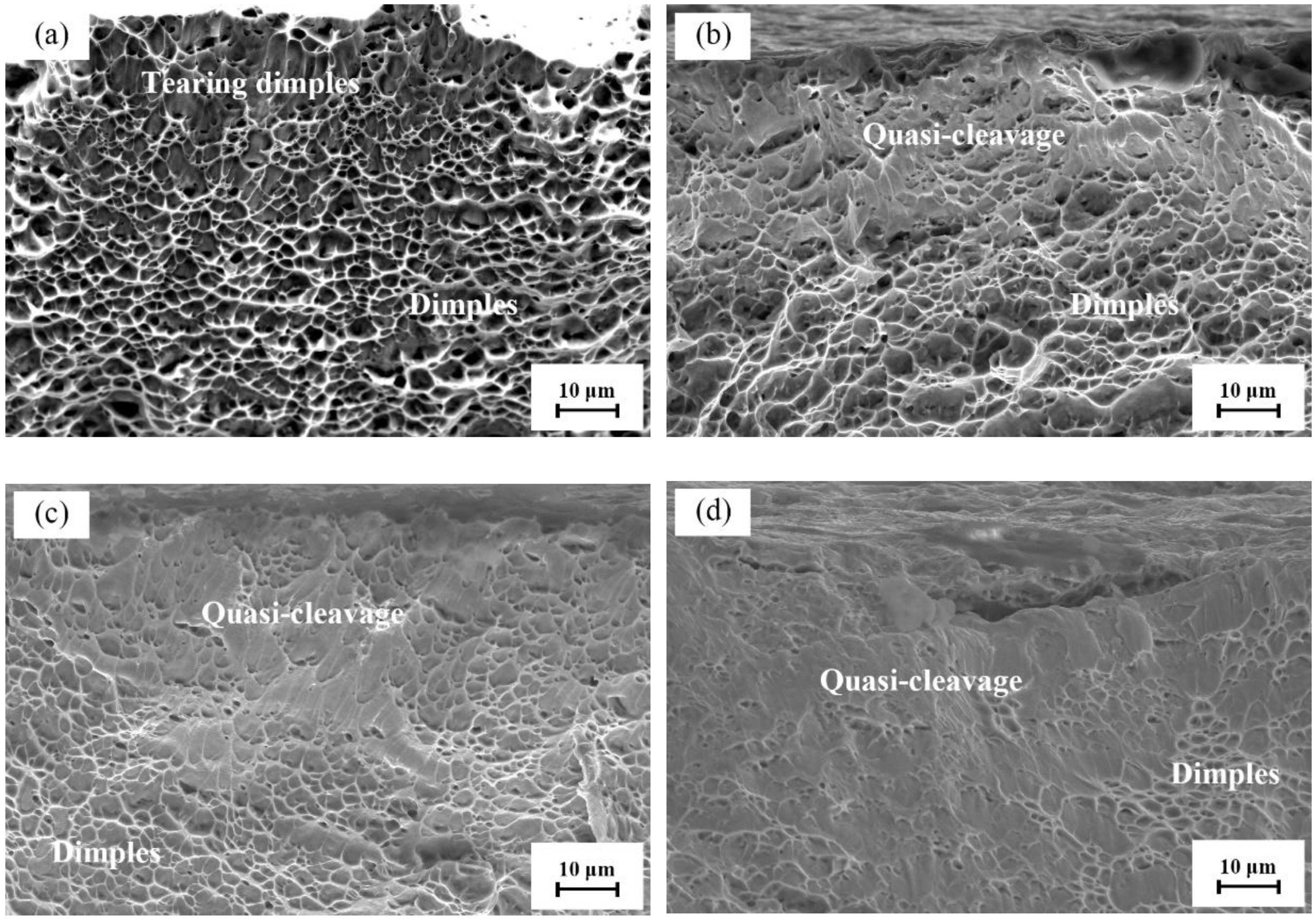 Metals 13 00449 g011