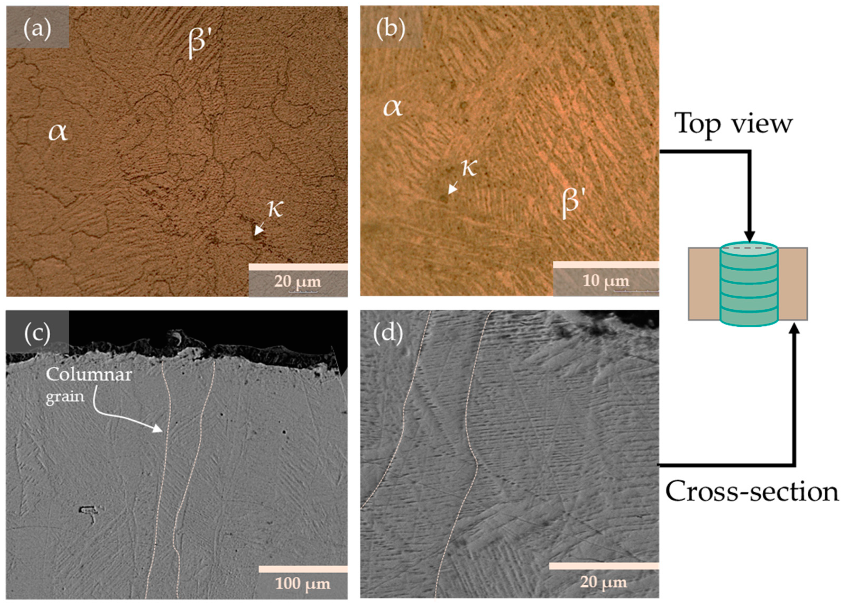 Metals 13 00459 g004
