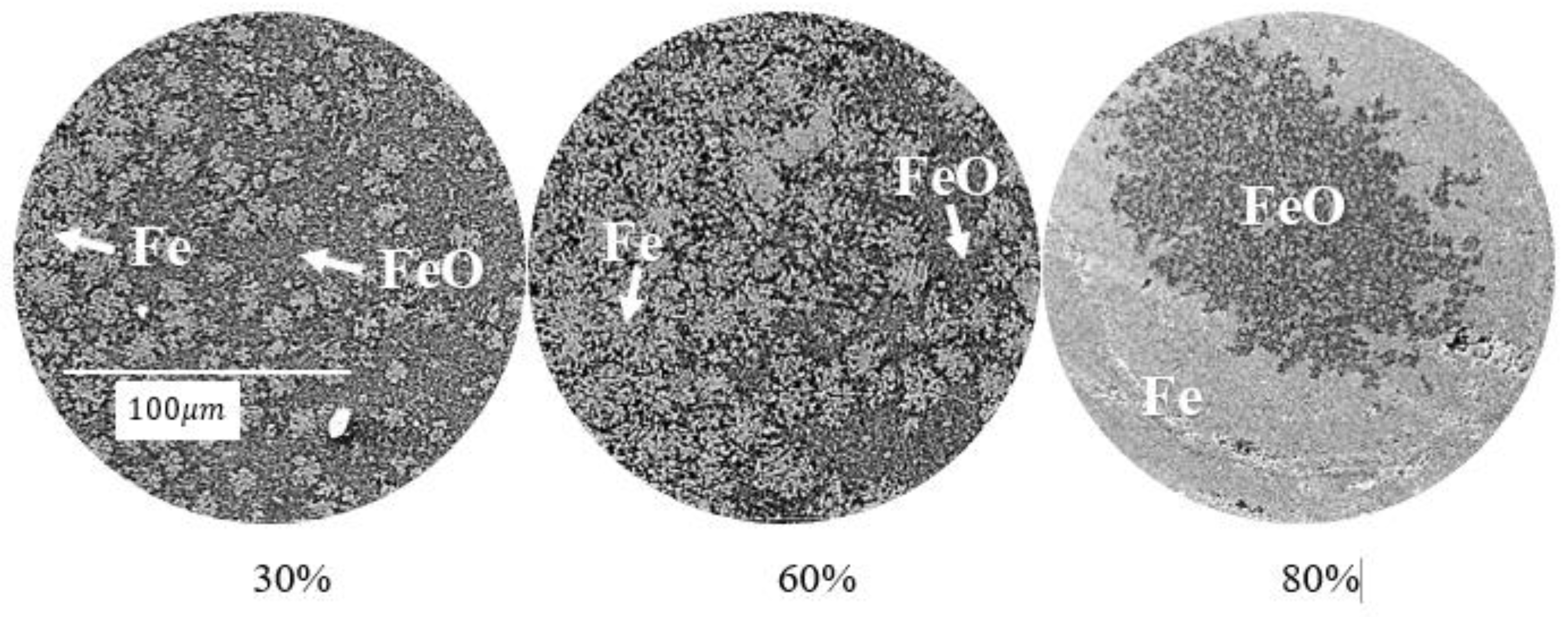 Metals 13 00464 g010