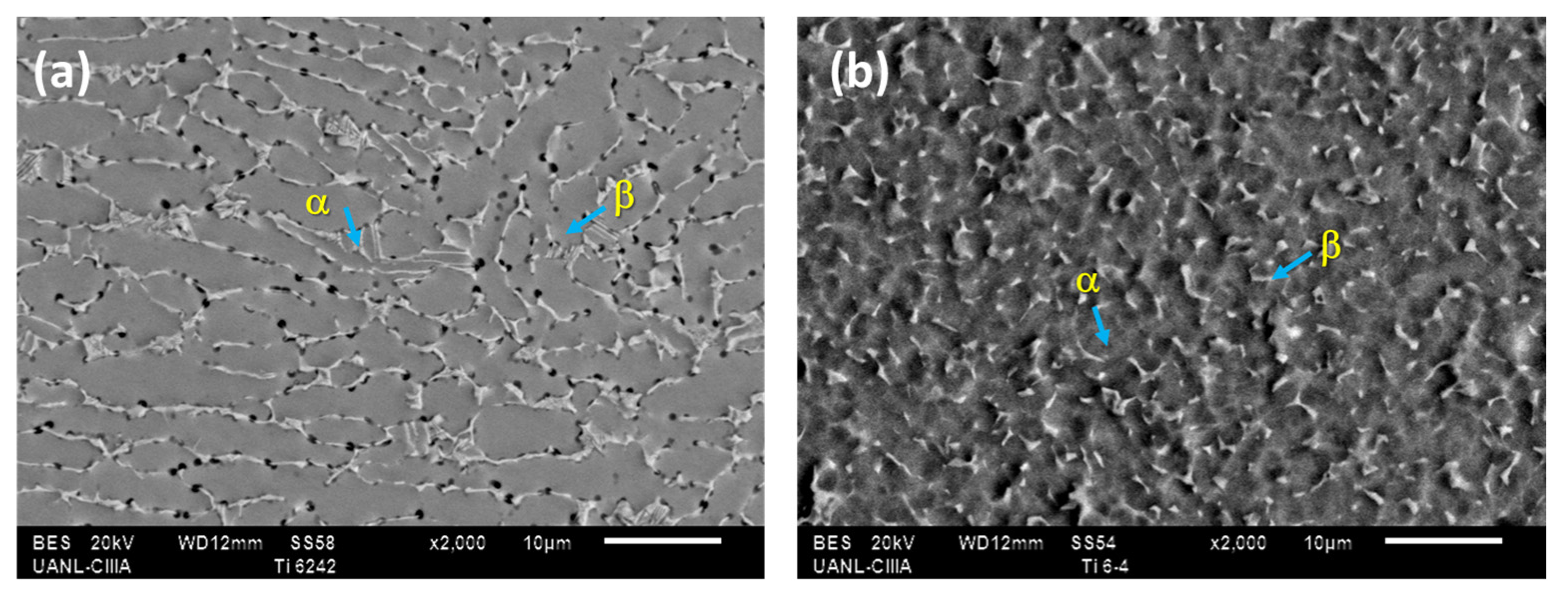 Metals 13 00476 g001 Metals 13 00476 g001