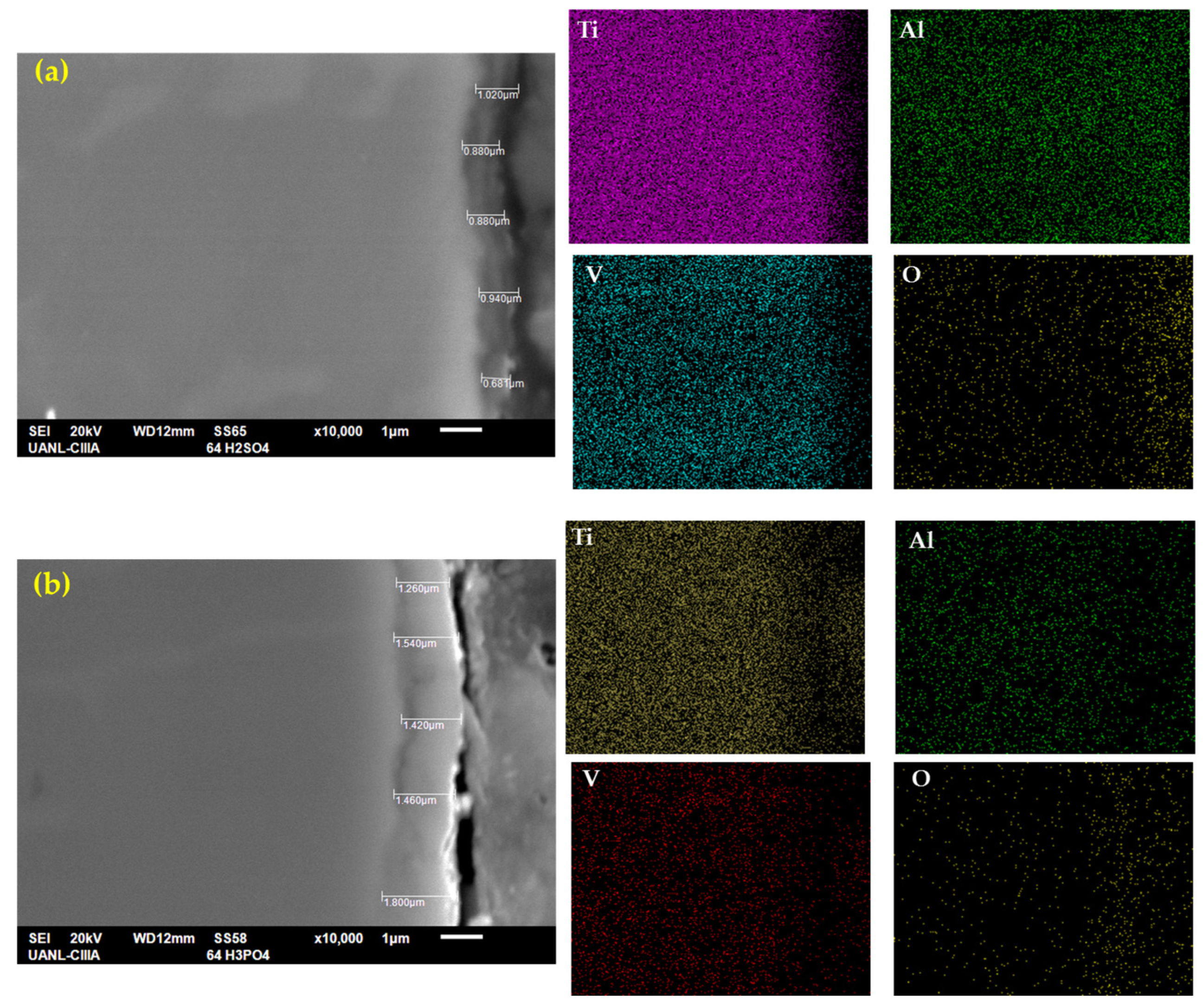 Metals 13 00476 g004 Metals 13 00476 g004