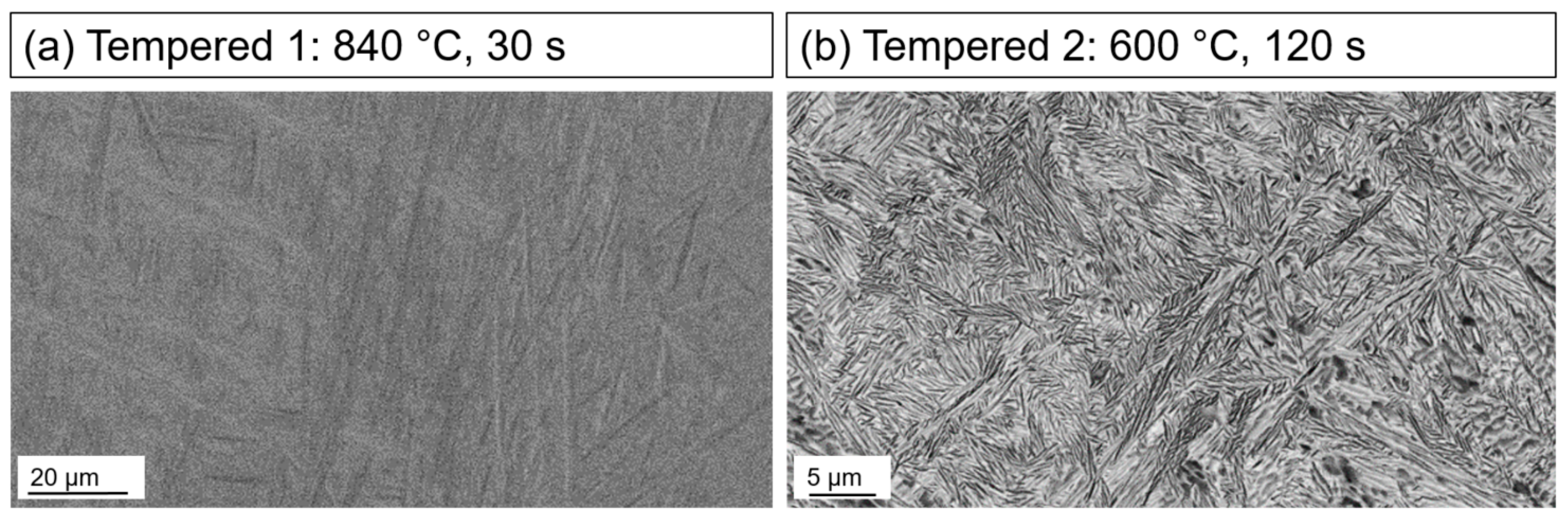 Metals 13 00484 g005 Metals 13 00484 g005