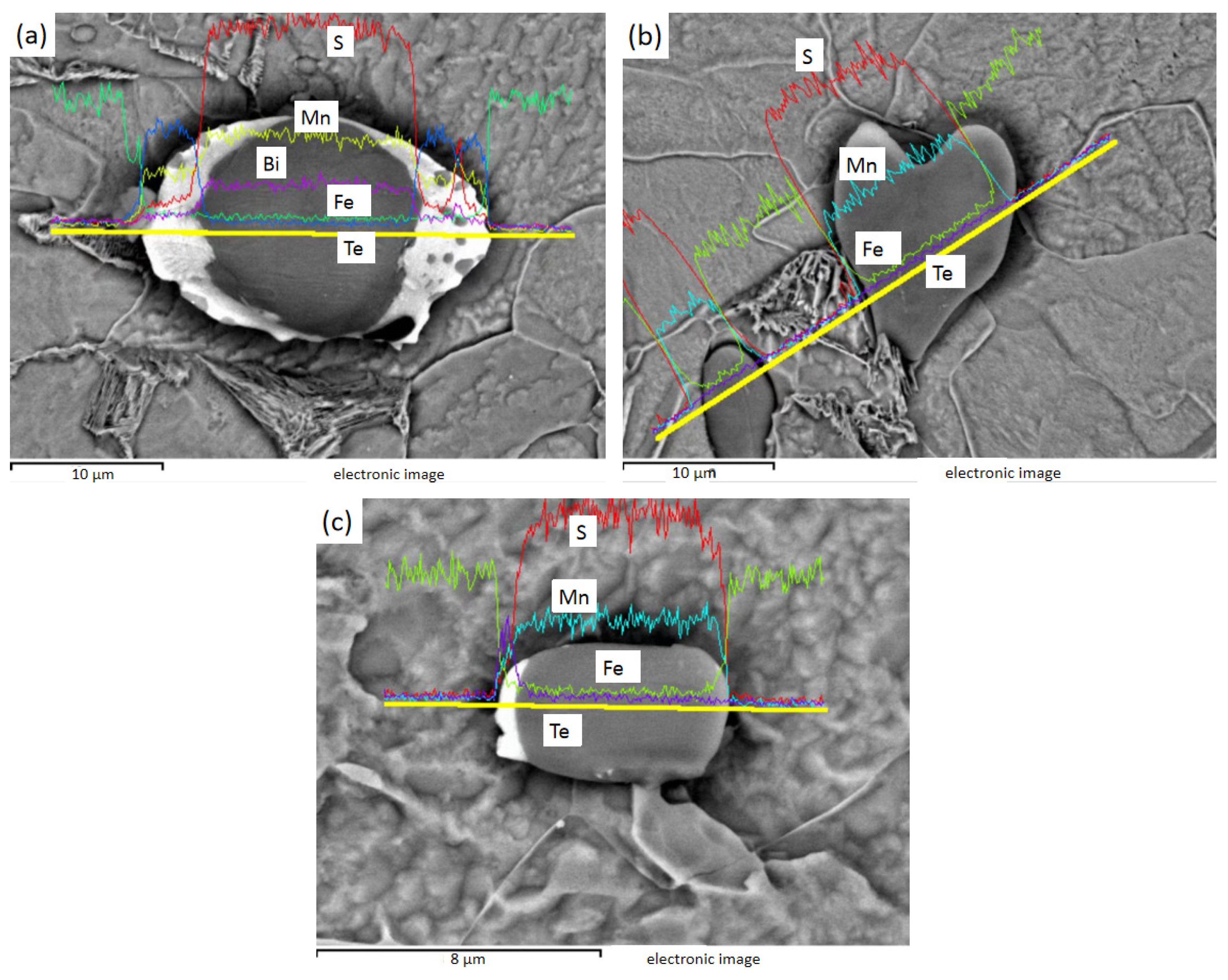 Metals 13 00486 g010