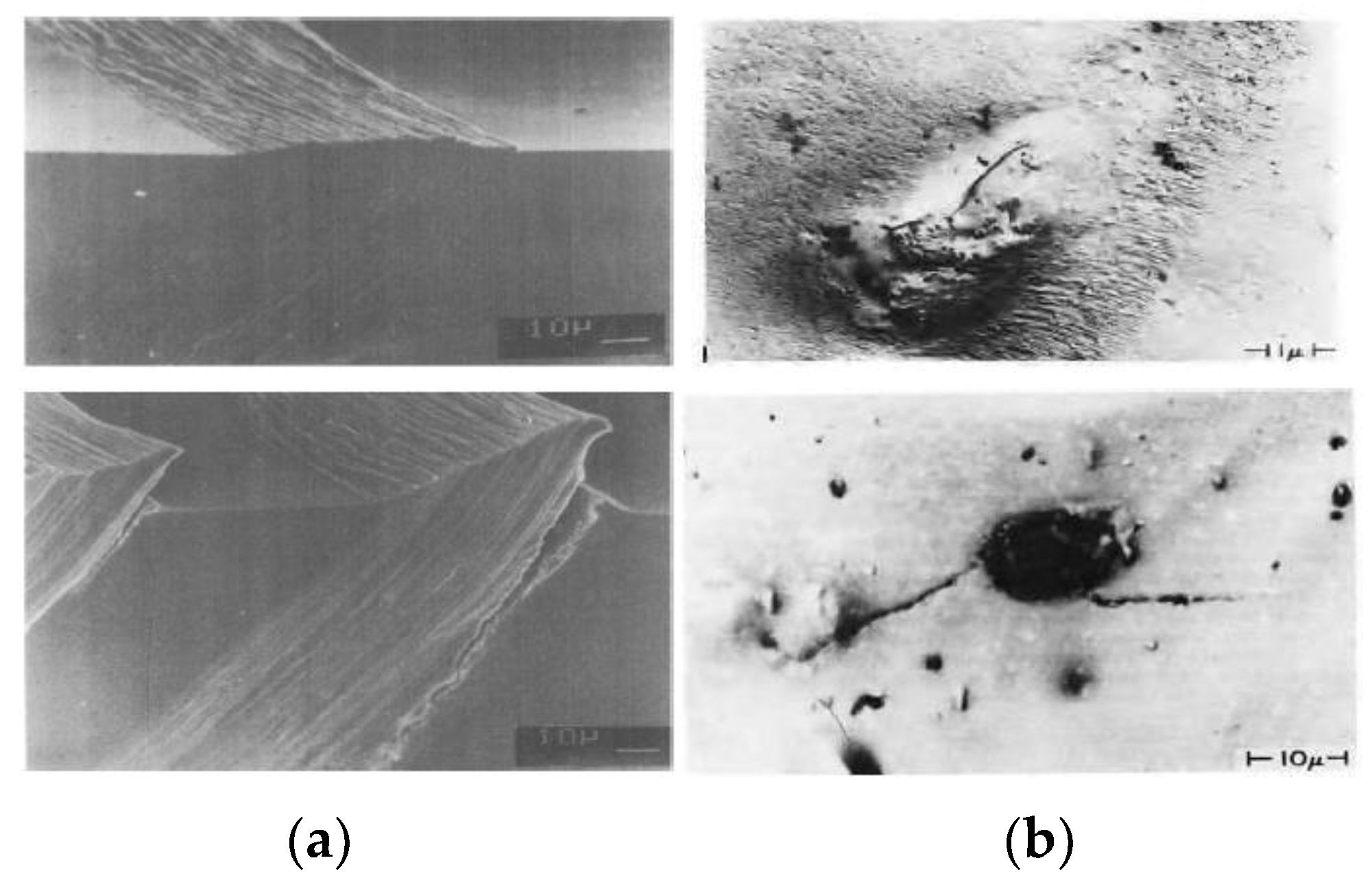 Metals 13 00487 g002