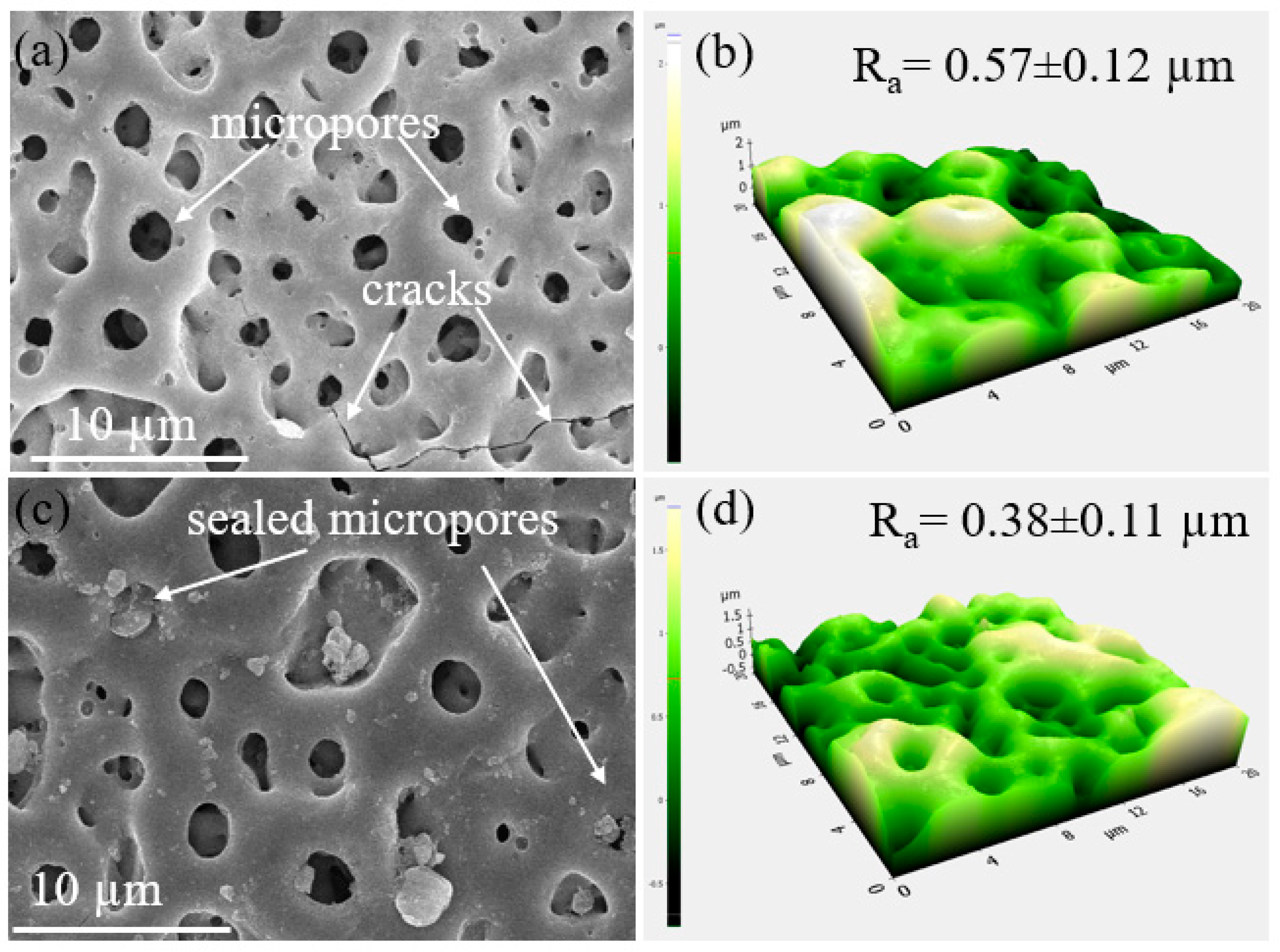 Metals 13 00495 g002