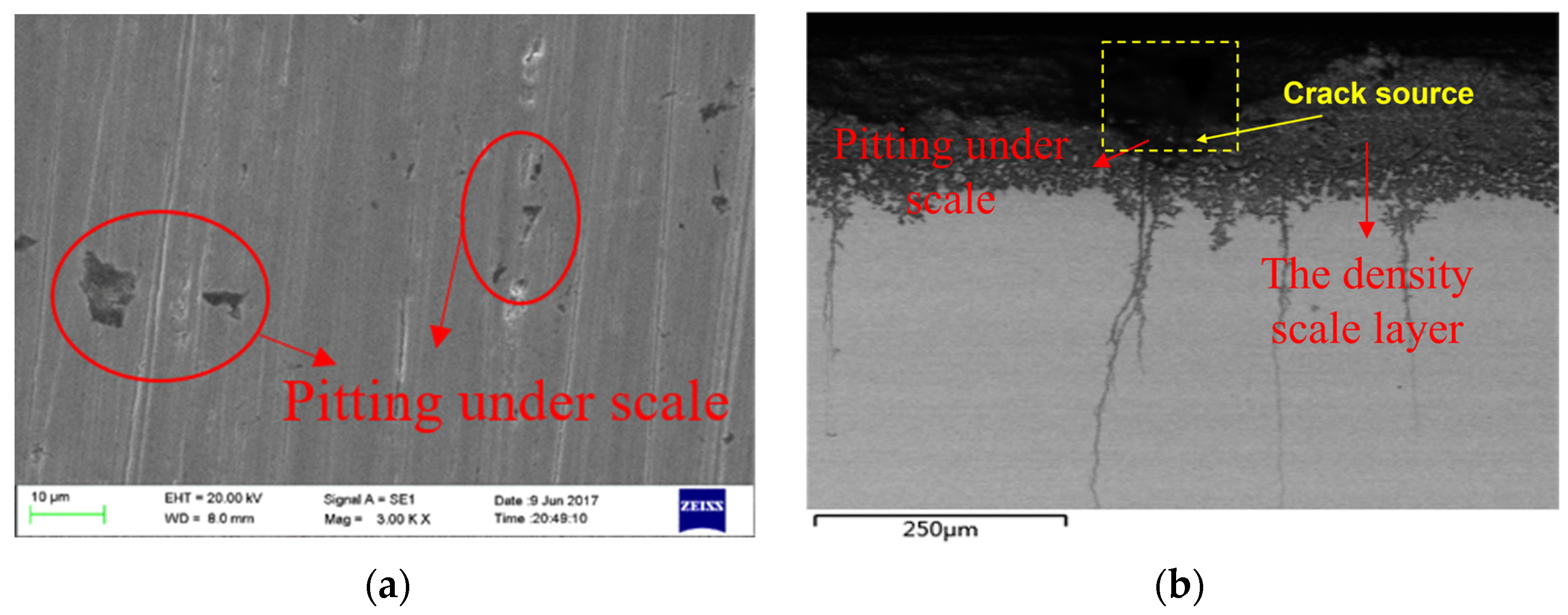 Metals 13 00498 g007