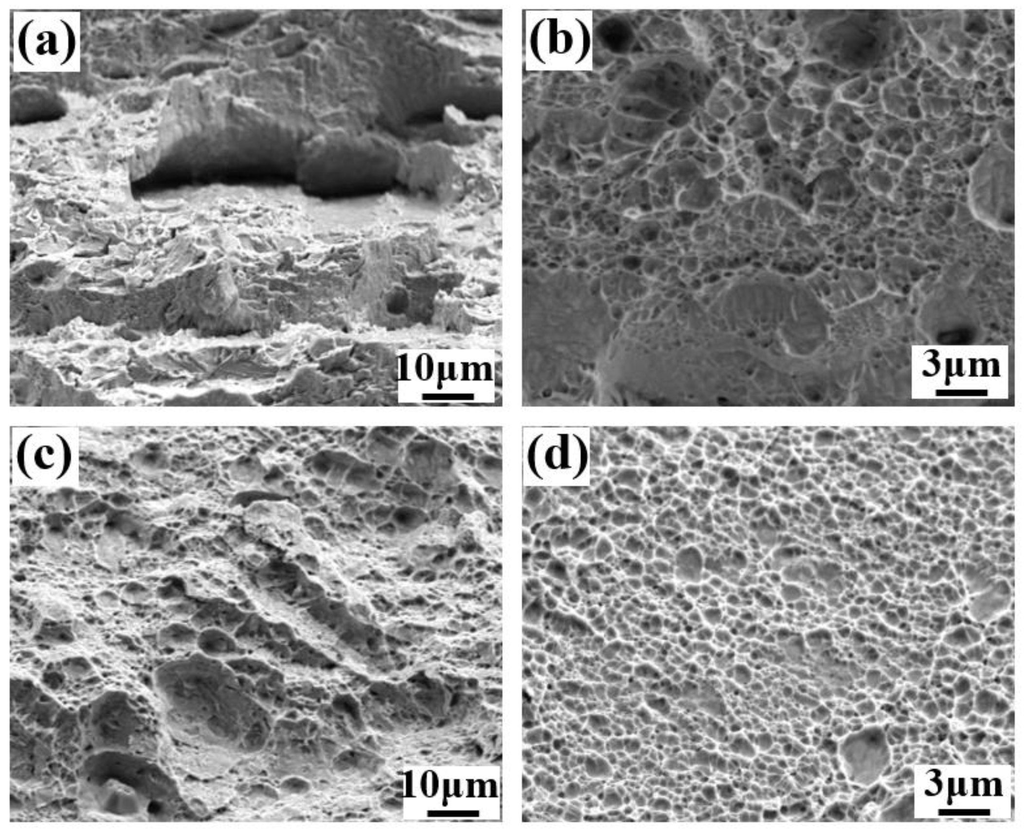 Metals 13 00499 g011