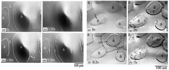 In Situ Observation of Solidification and Crystallization of Low-Alloy