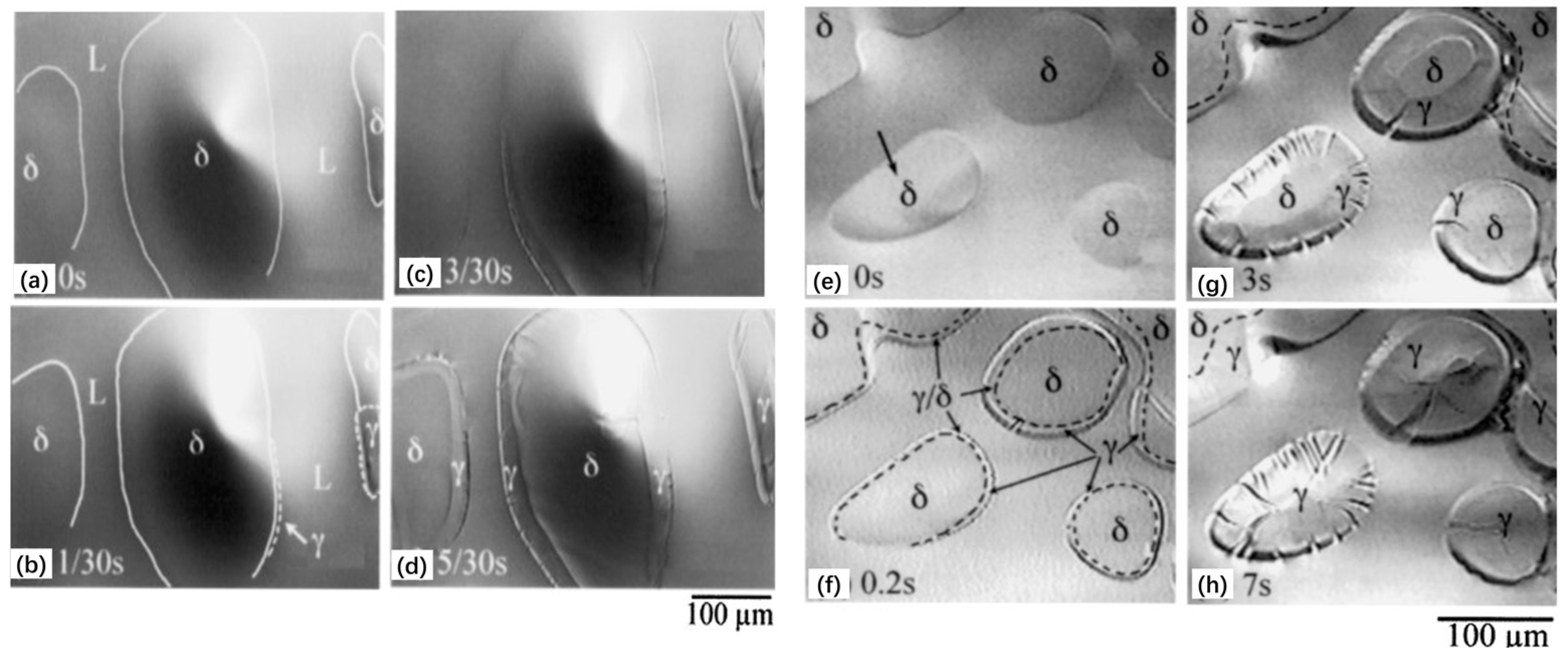 Metals 13 00517 g010