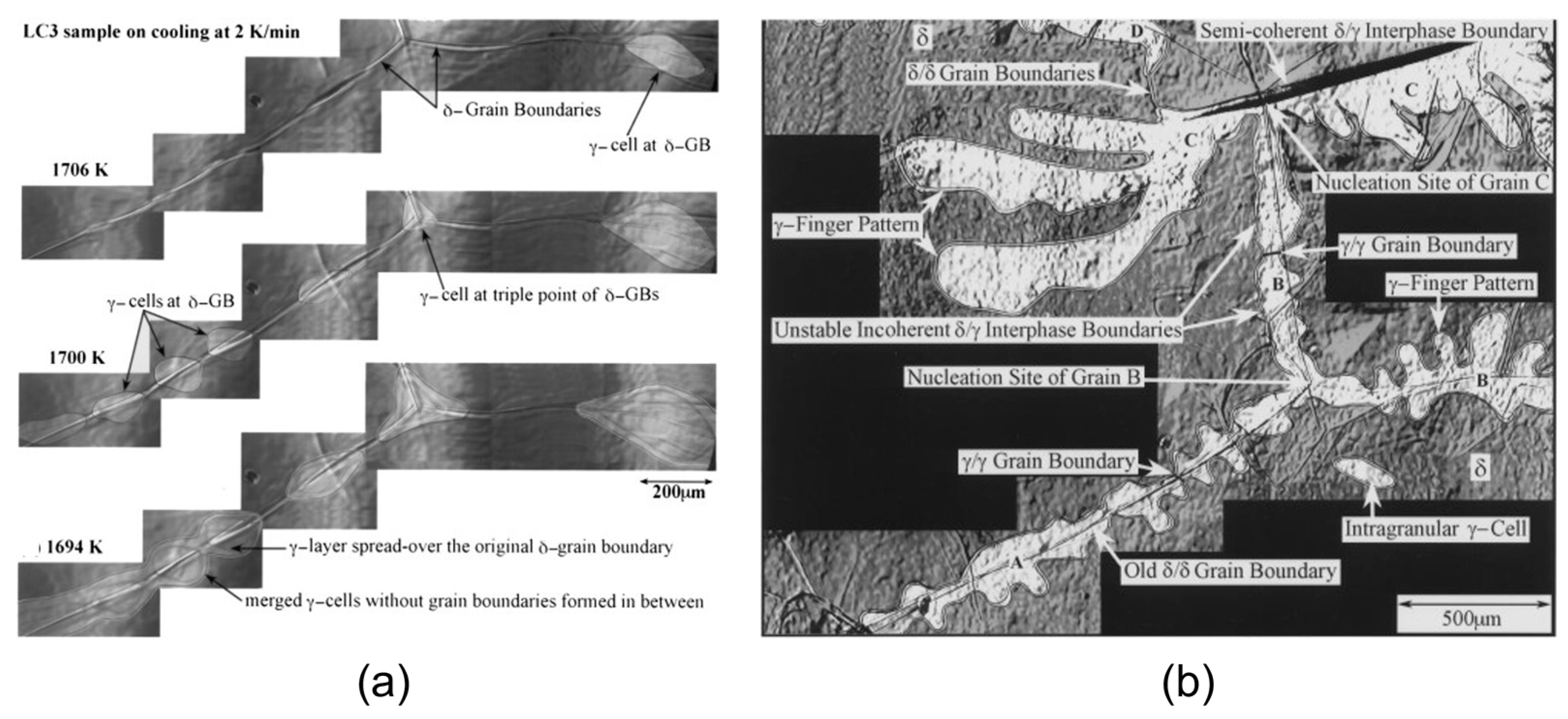 Metals 13 00517 g011