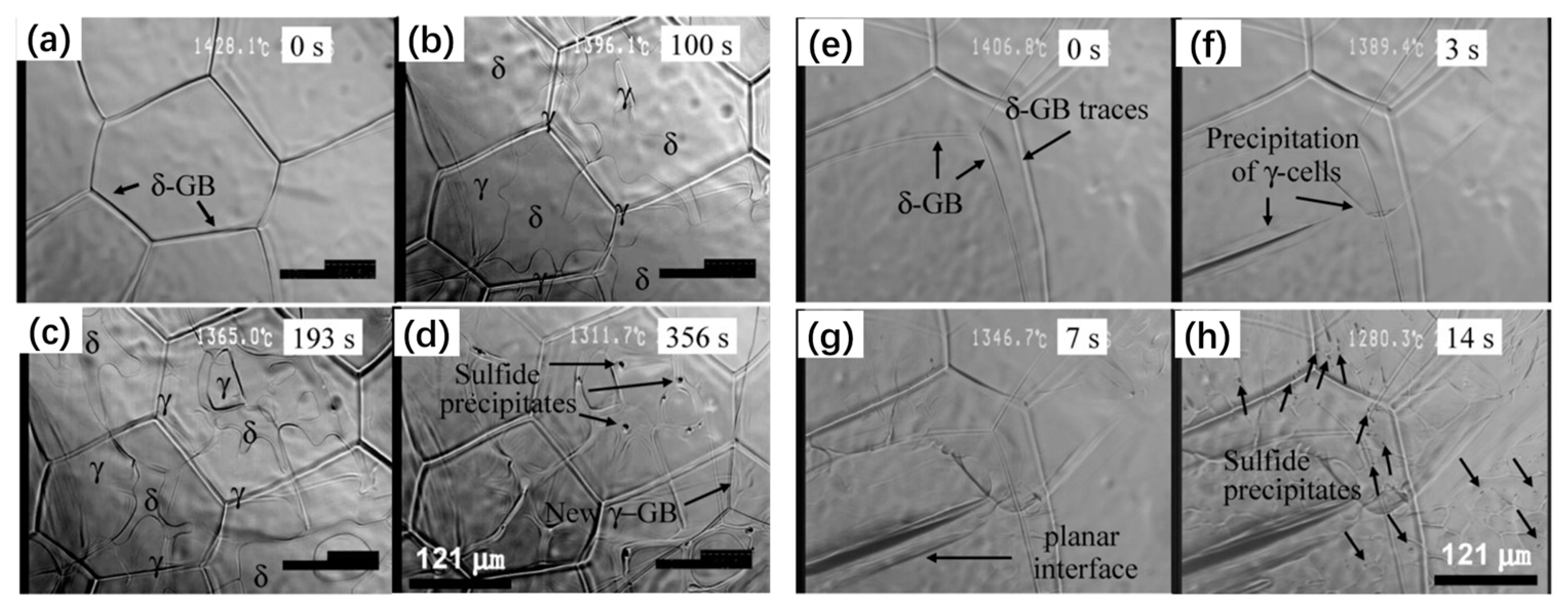 Metals 13 00517 g013