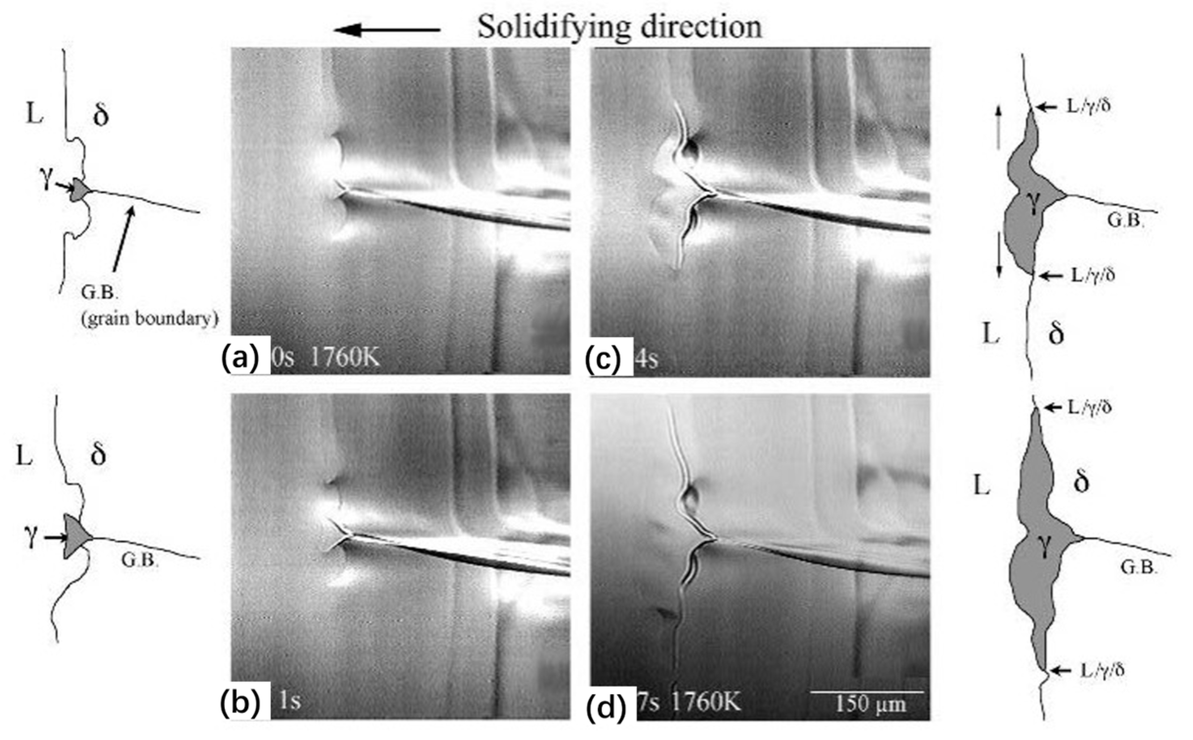 Metals 13 00517 g014