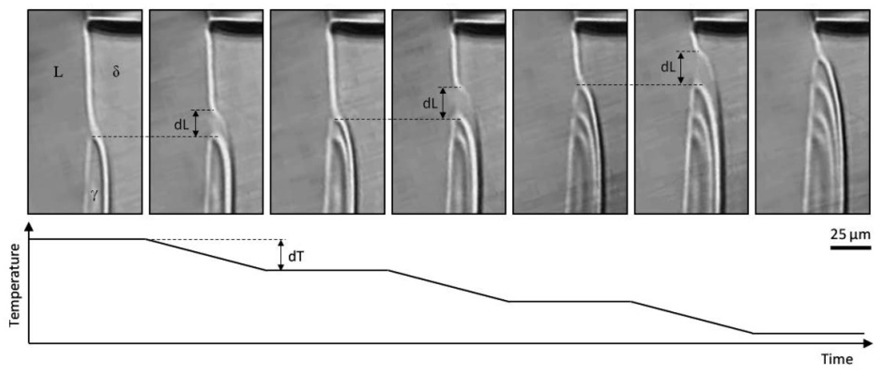 Metals 13 00517 g017