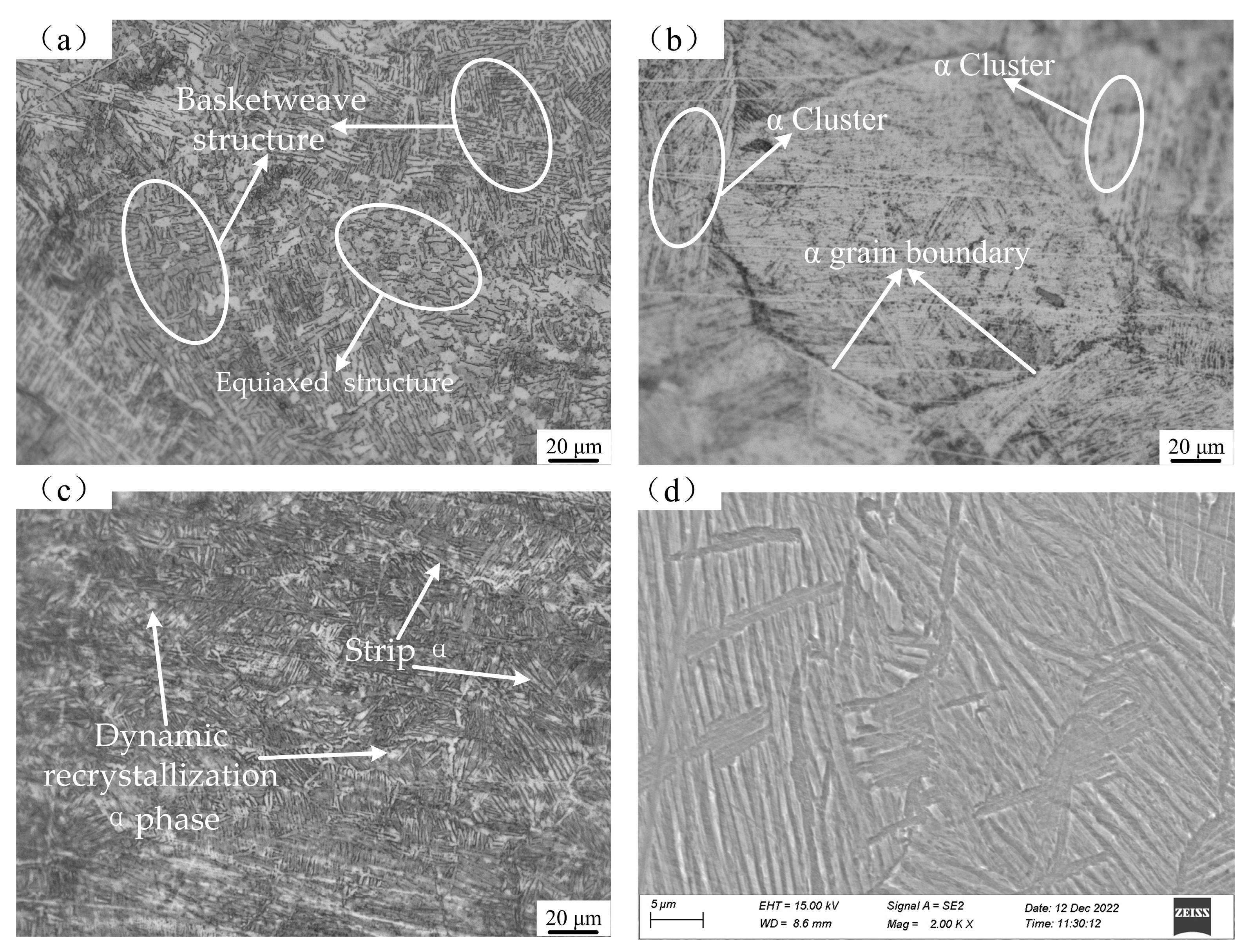 Metals 13 00527 g012