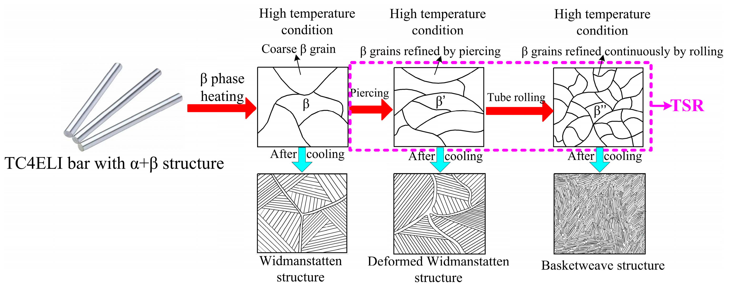 Metals 13 00527 g013