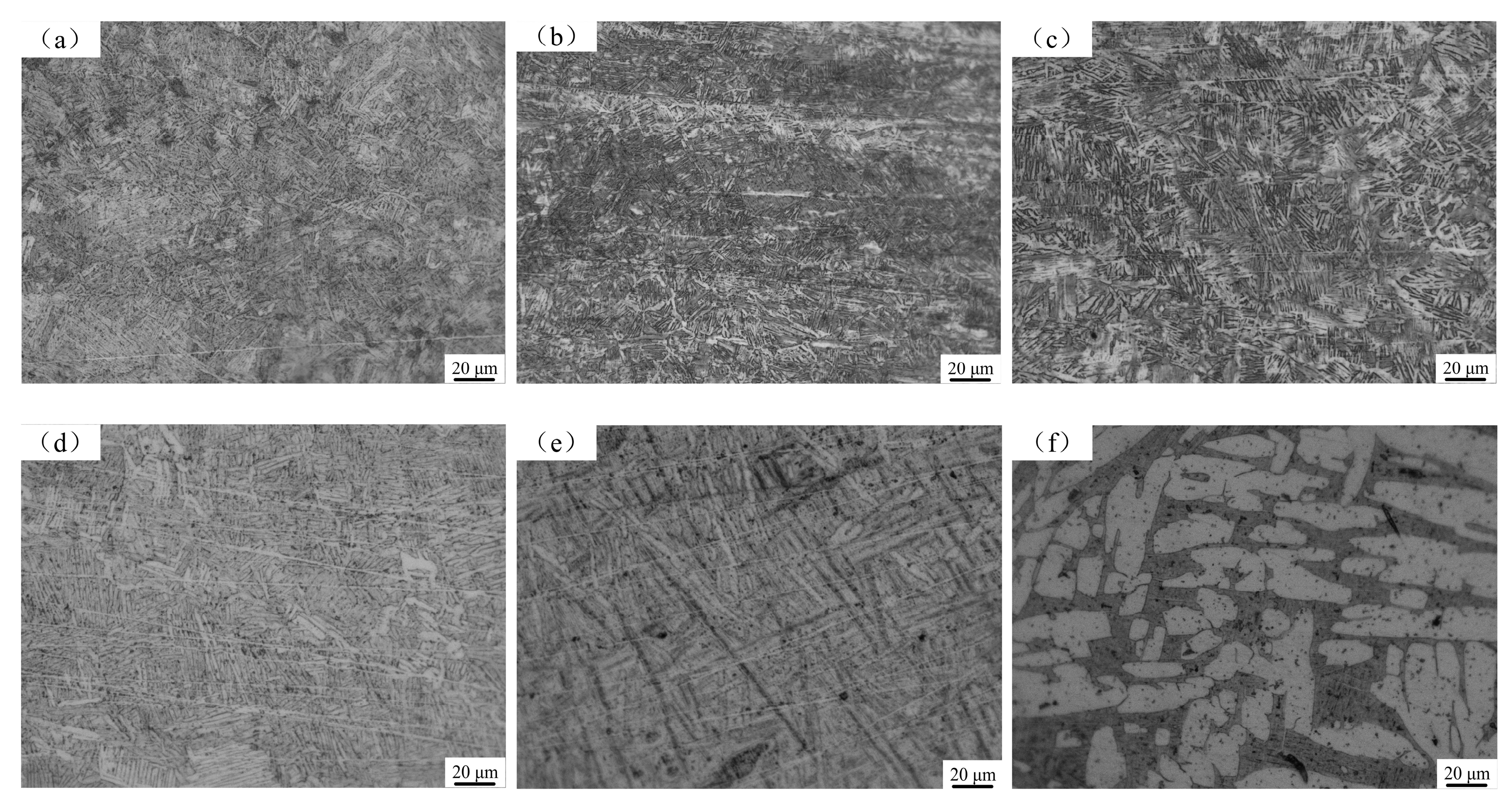 Metals 13 00527 g014