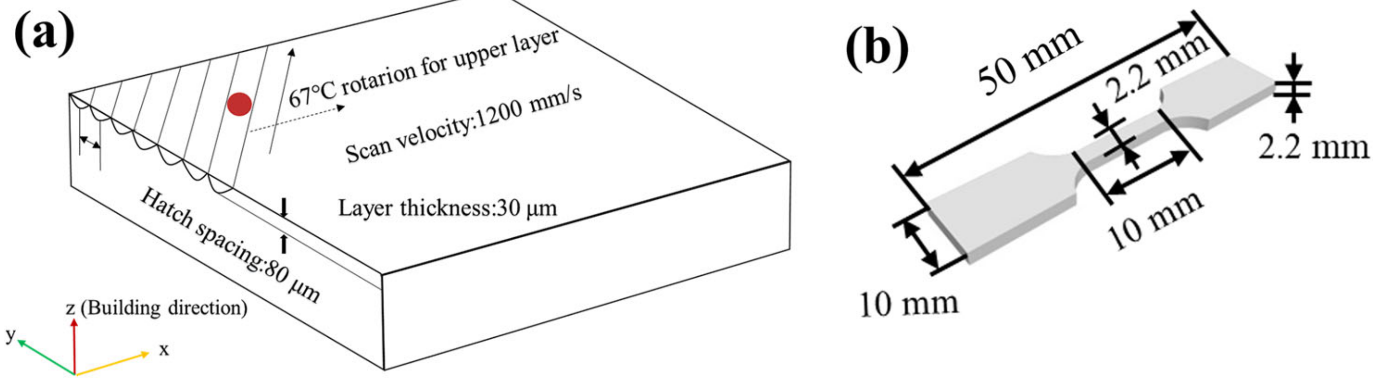Metals 13 00538 g001