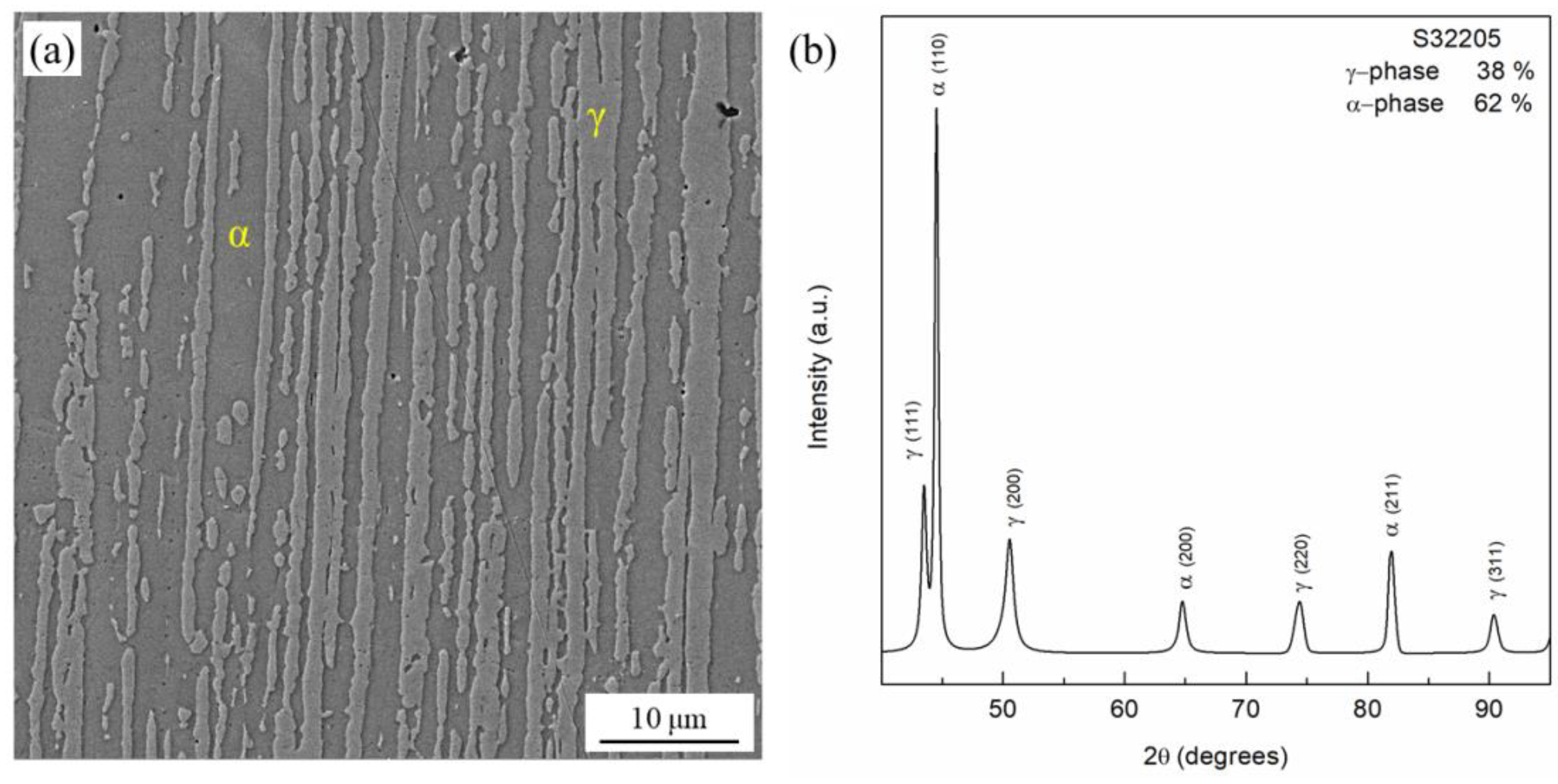 Metals 13 00567 g001