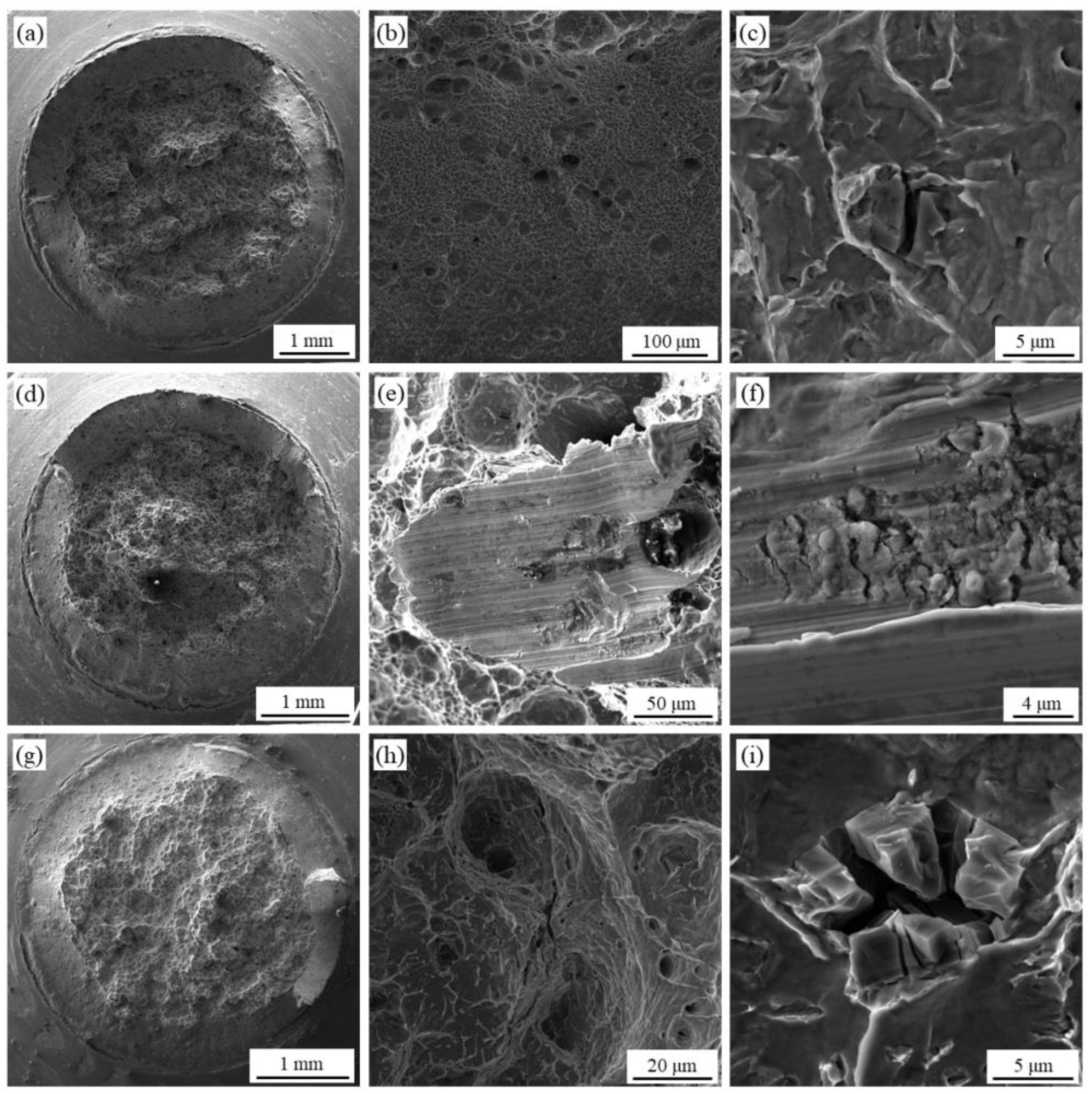 Metals 13 00567 g007