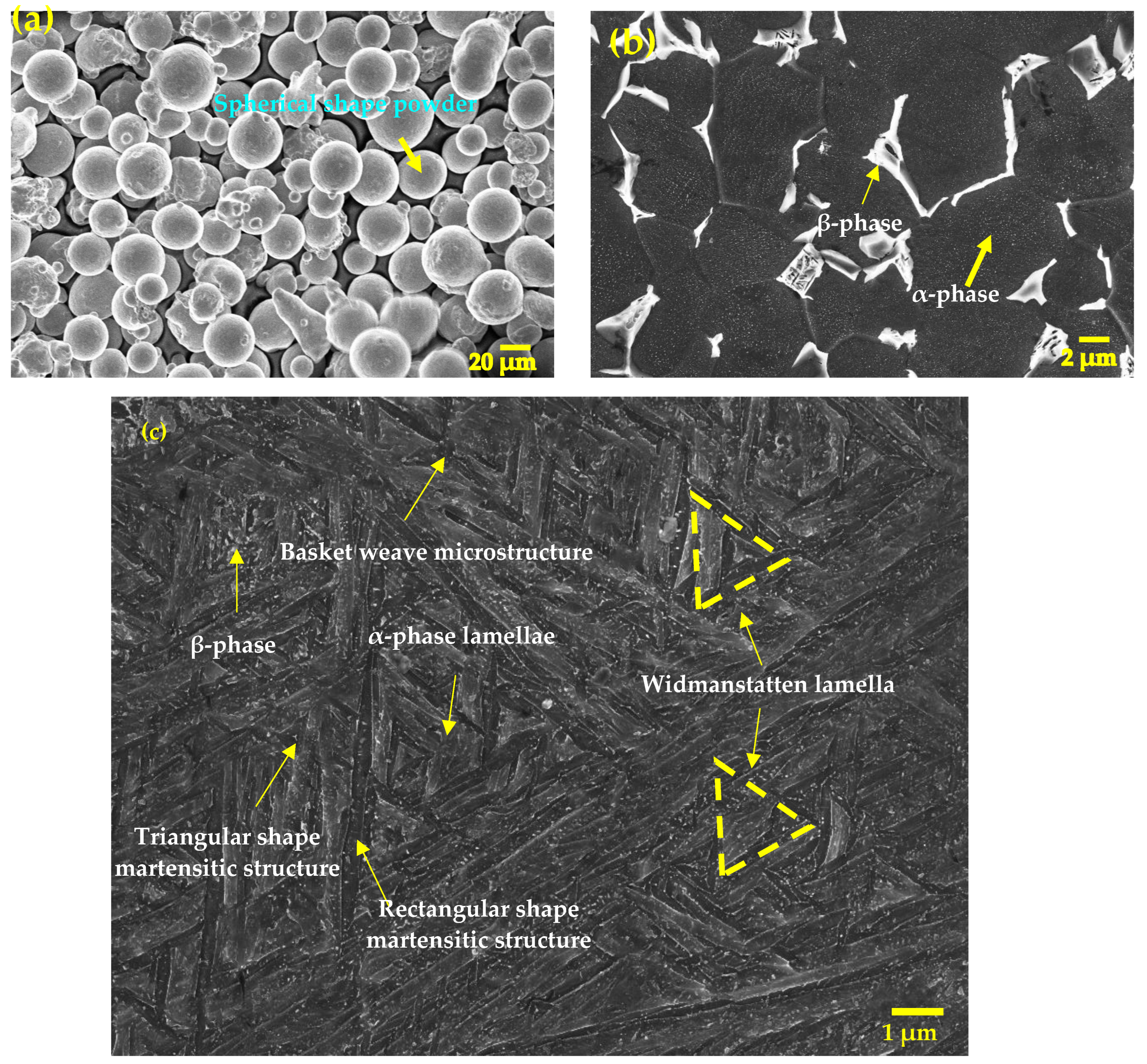 Metals 13 00575 g002 Metals 13 00575 g002