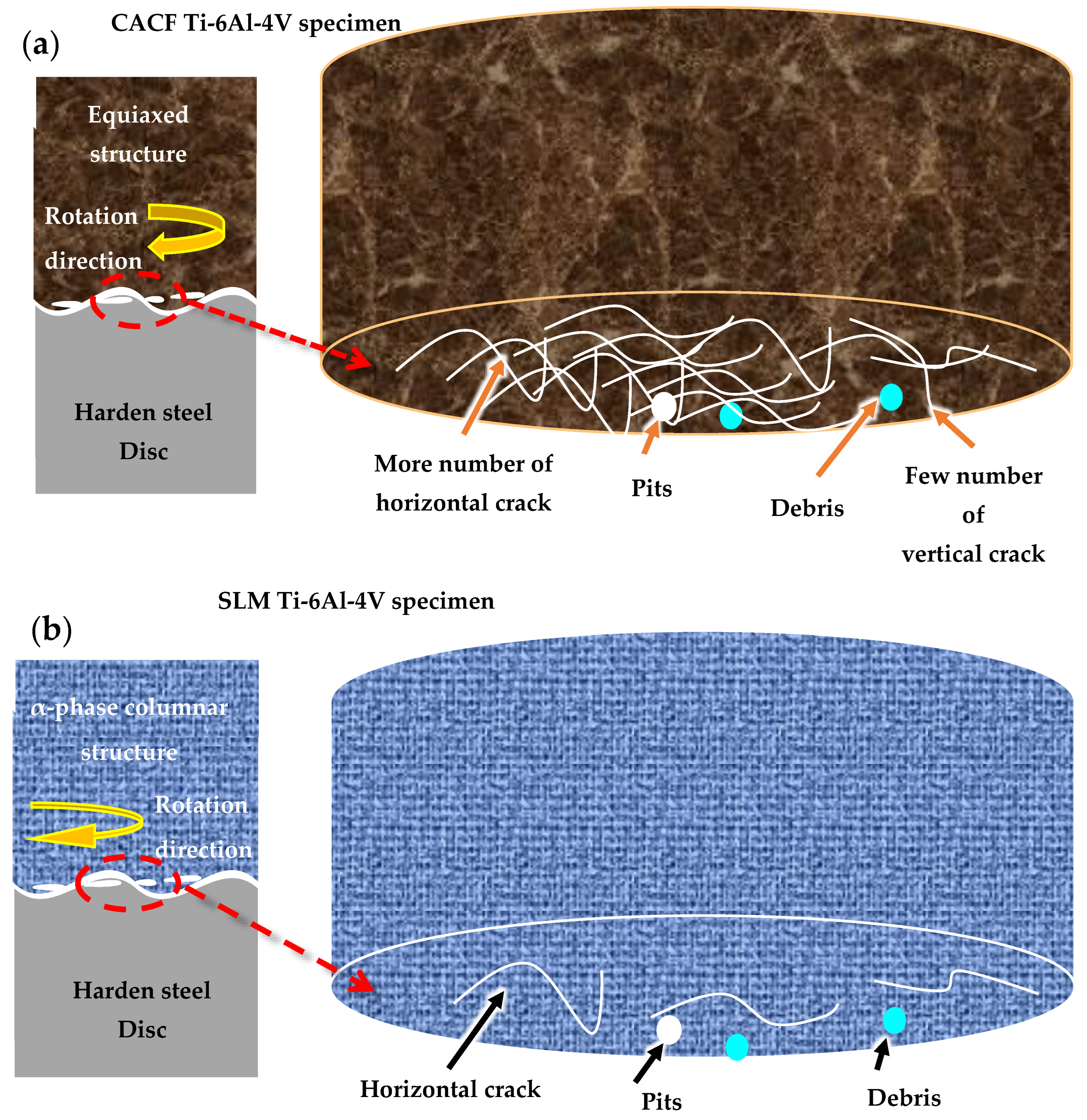 Metals 13 00575 g008 Metals 13 00575 g008
