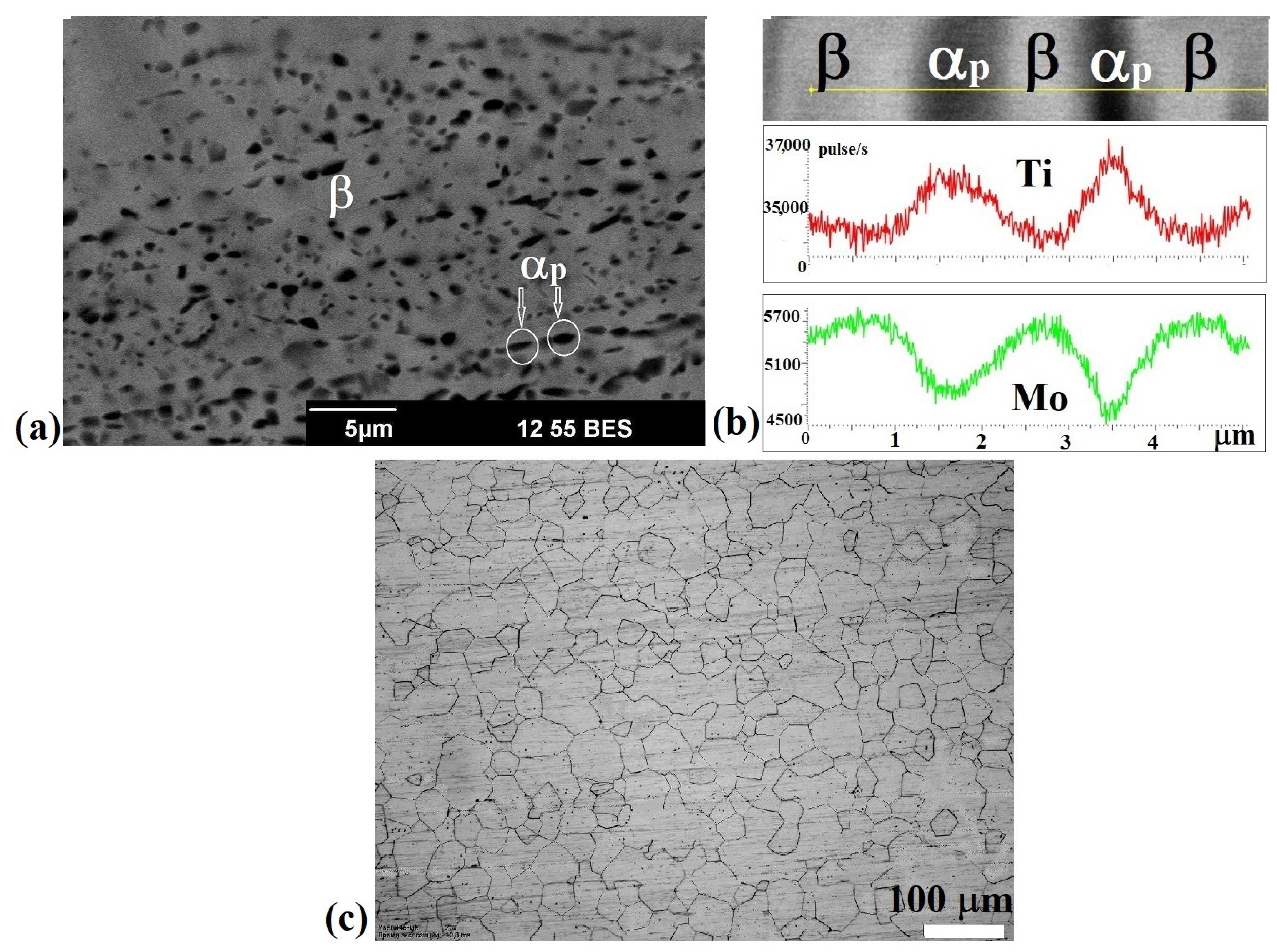 Metals 13 00580 g003