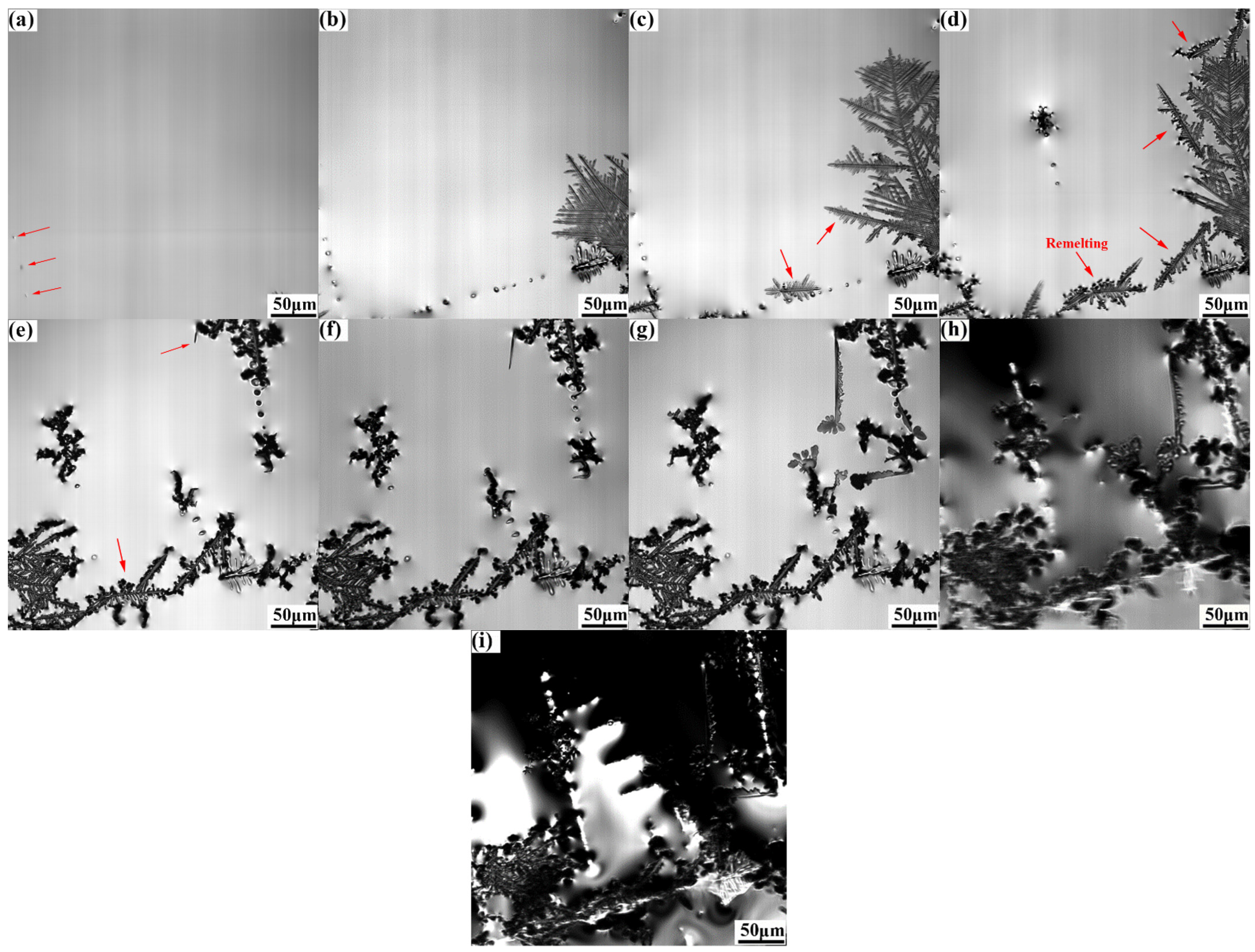 Metals 13 00581 g004