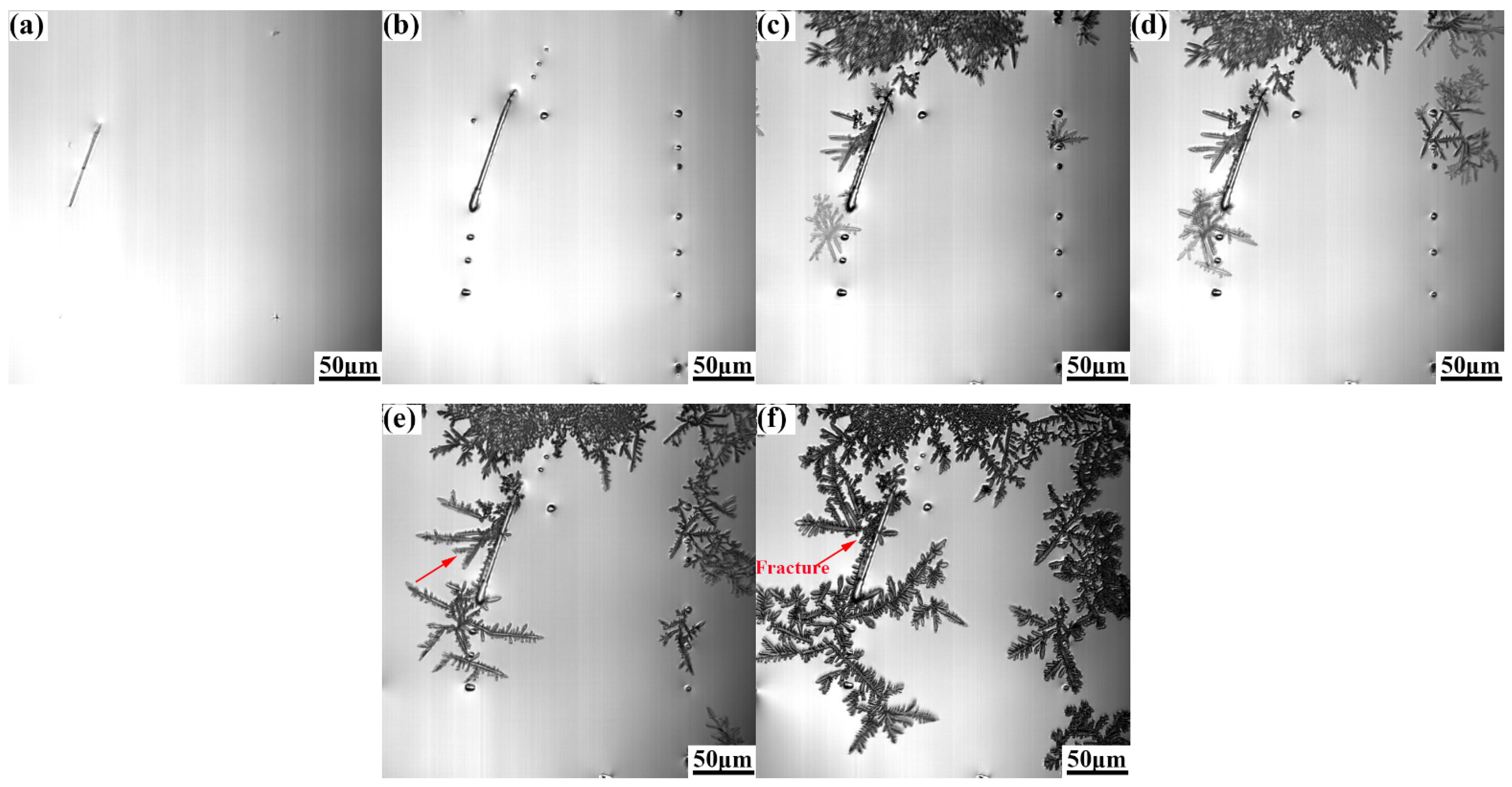 Metals 13 00581 g006