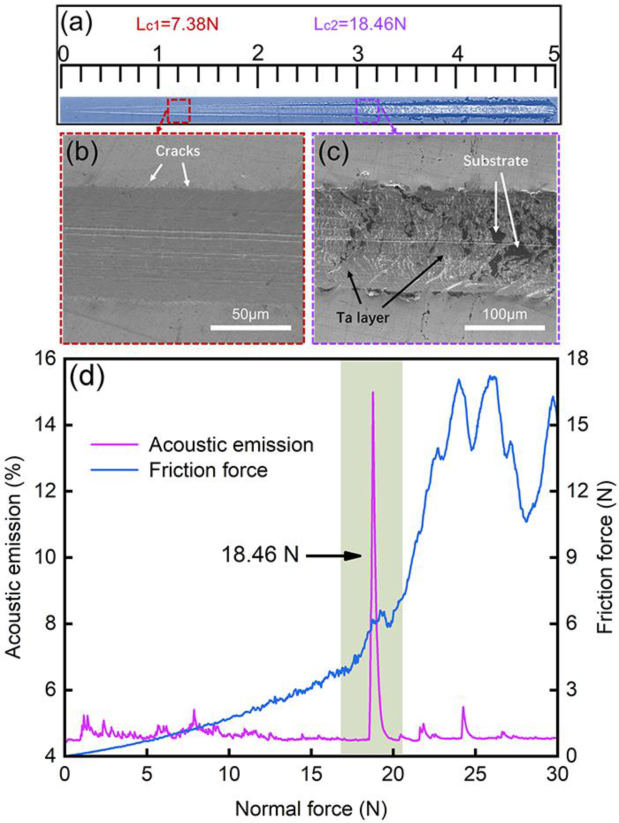 Metals 13 00583 g011