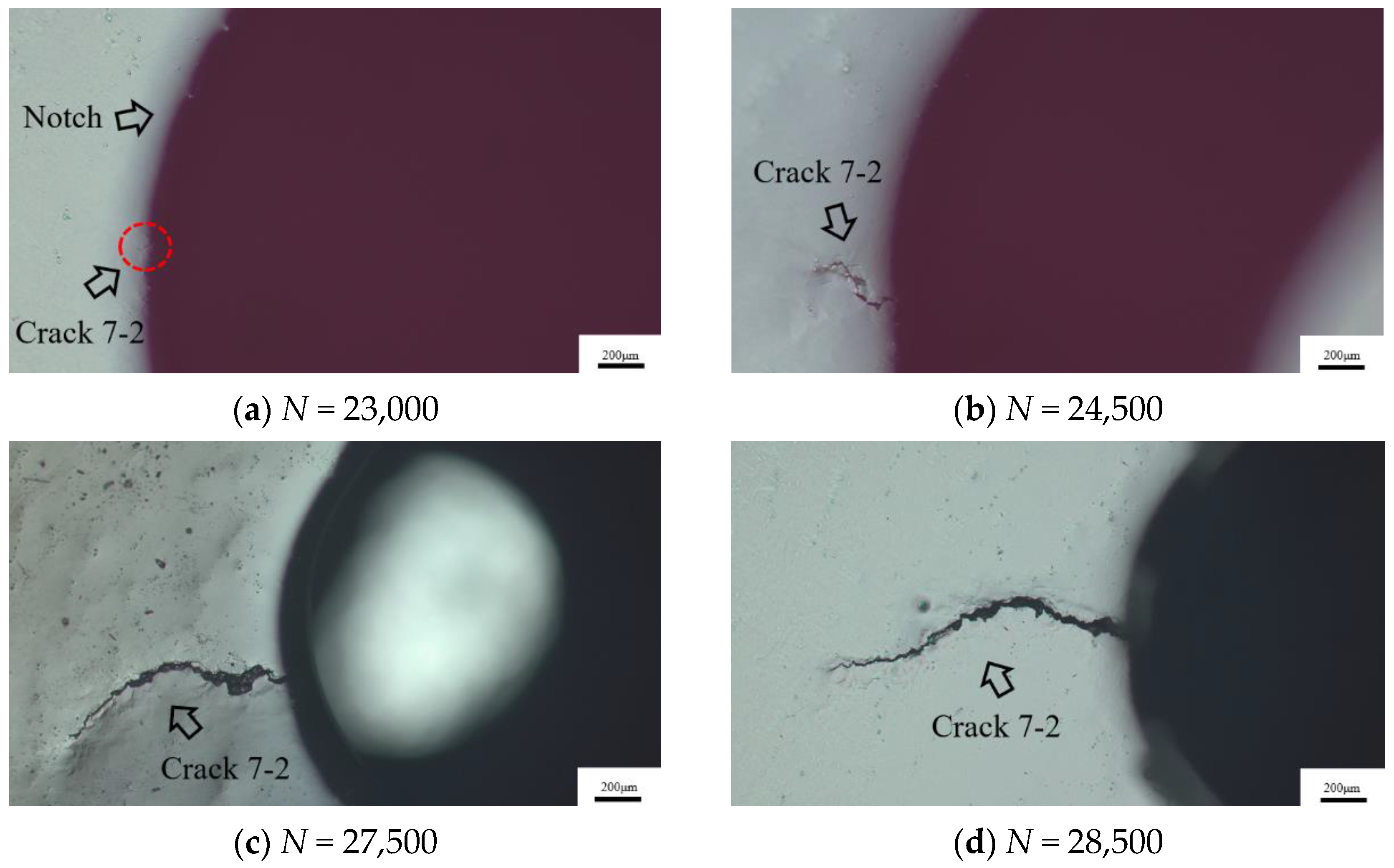 Metals 13 00588 g013a