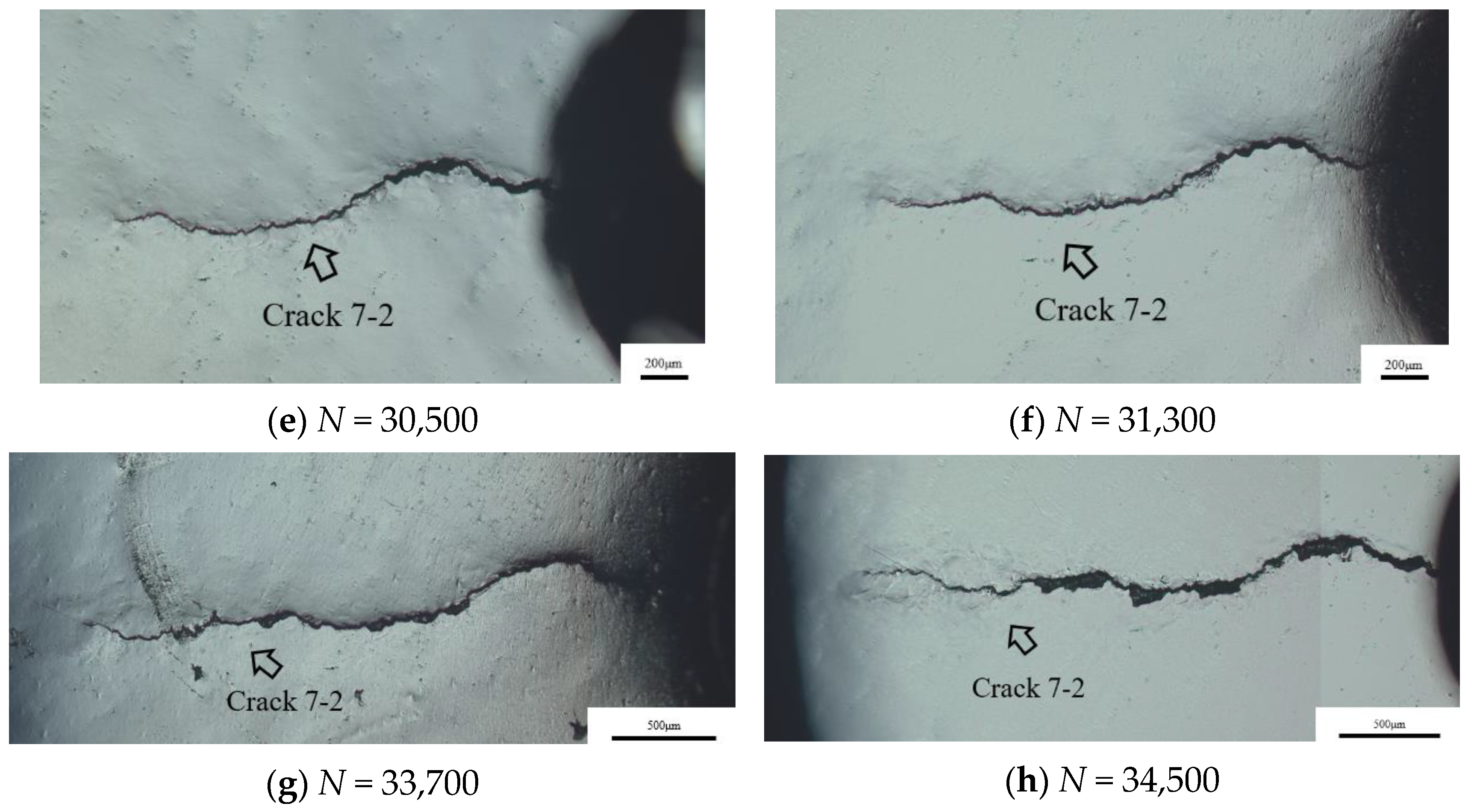 Metals 13 00588 g013b