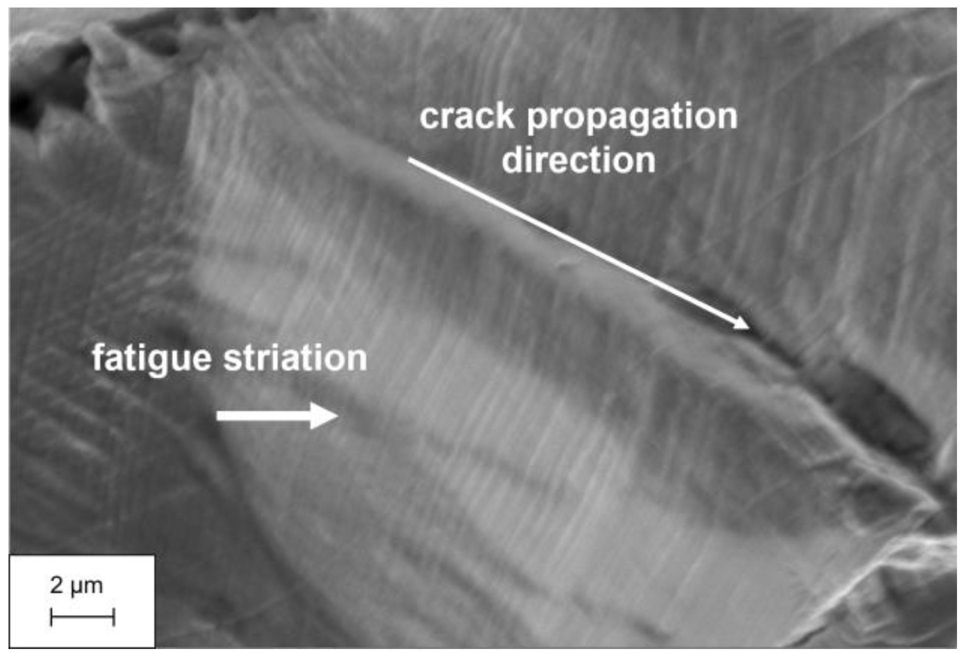 Metals 13 00588 g022