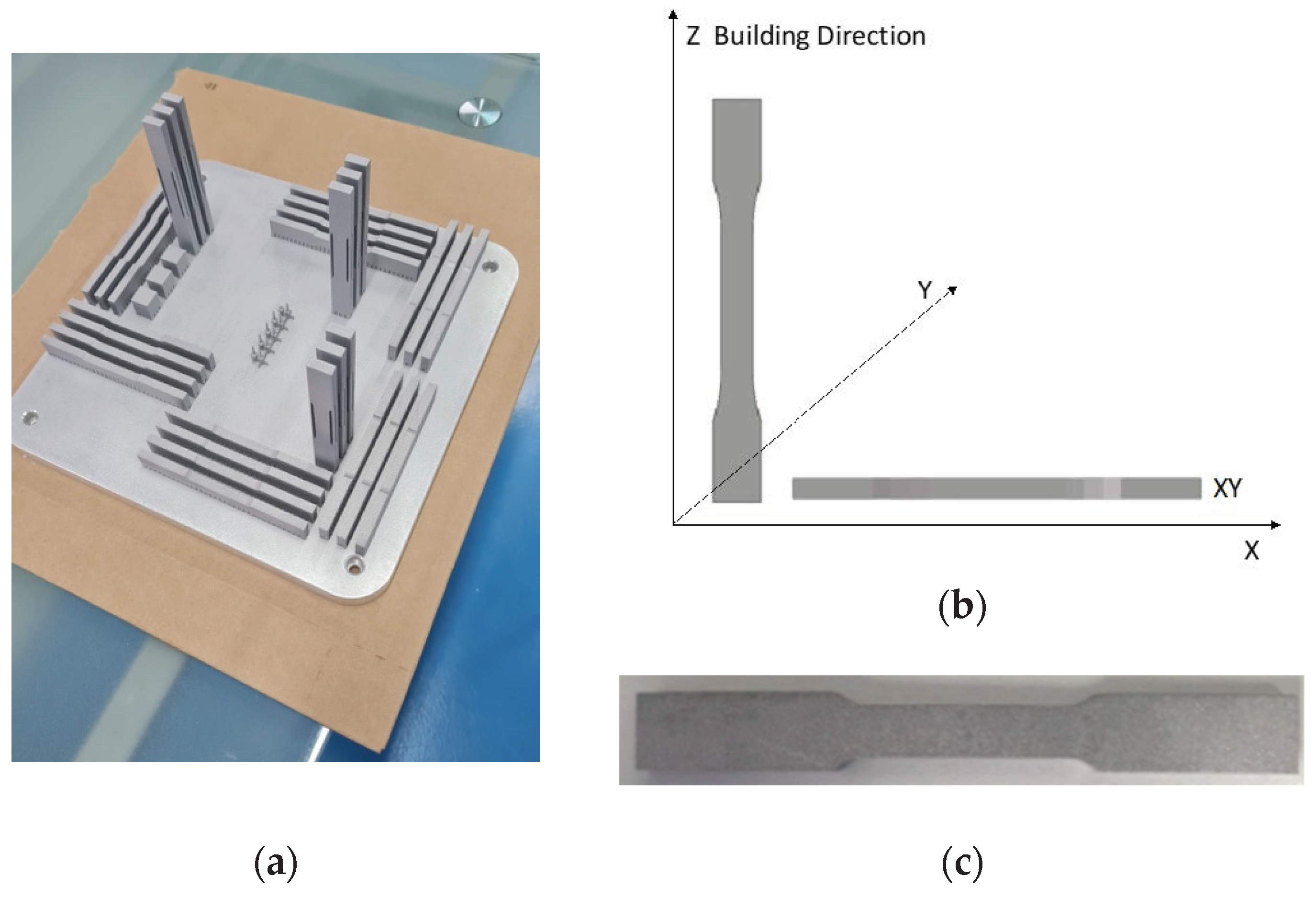 Metals 13 00590 g004