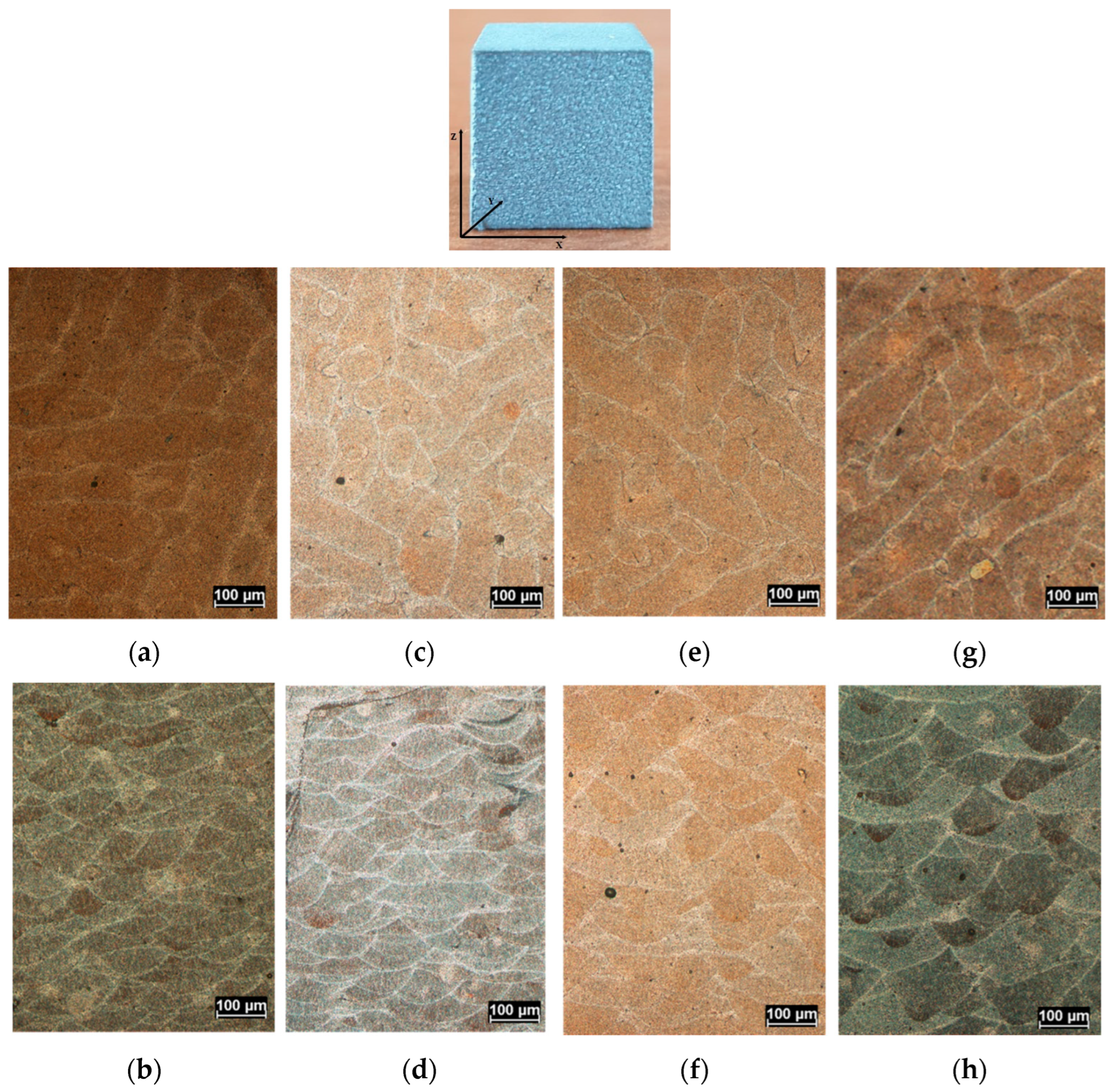 Metals 13 00590 g006