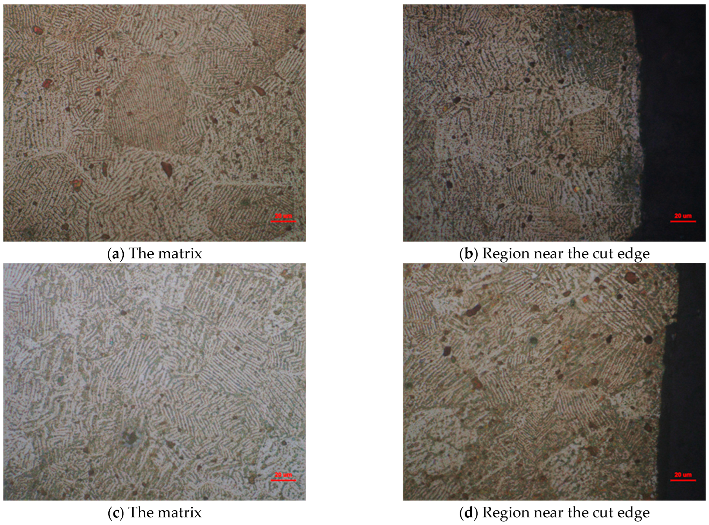 Metals 13 00595 g011 Metals 13 00595 g011