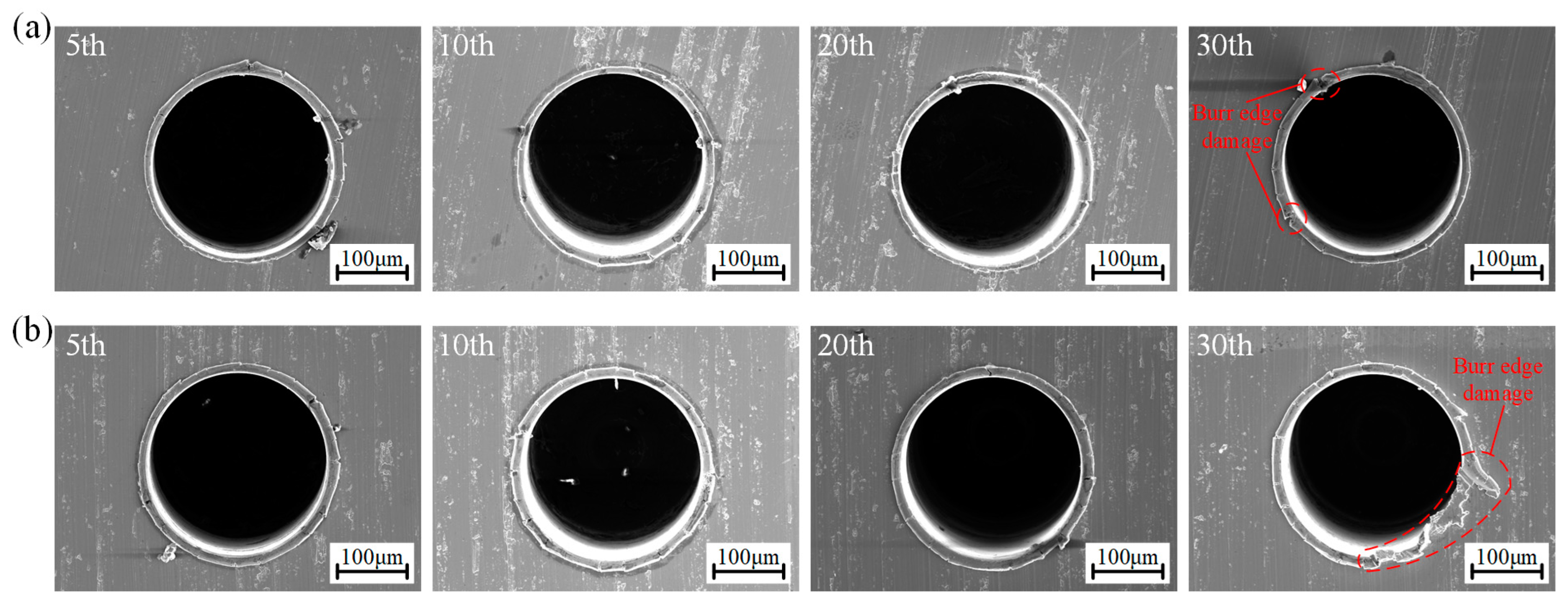 Metals 13 00608 g013 Metals 13 00608 g013