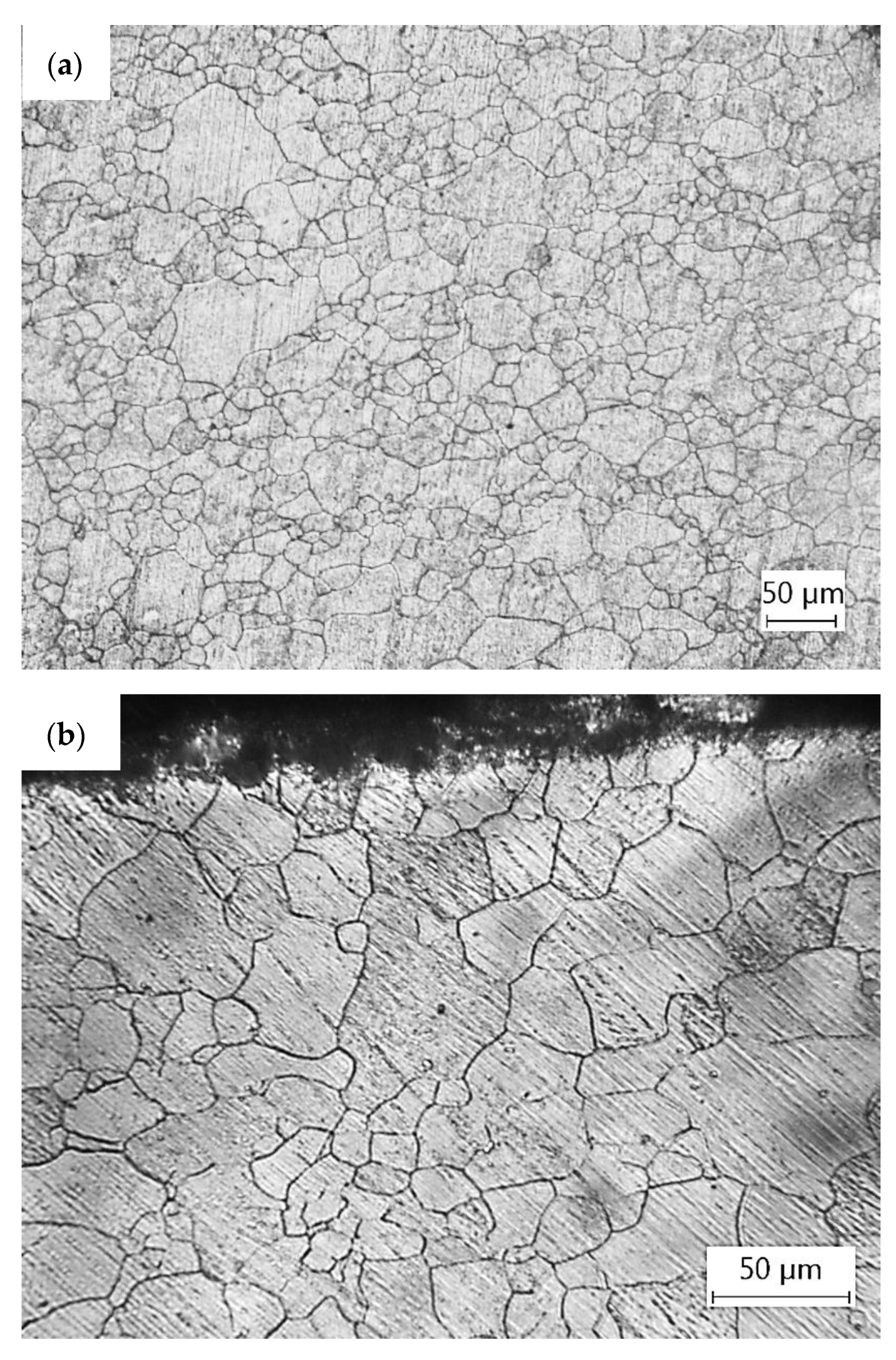 Metals 13 00619 g005