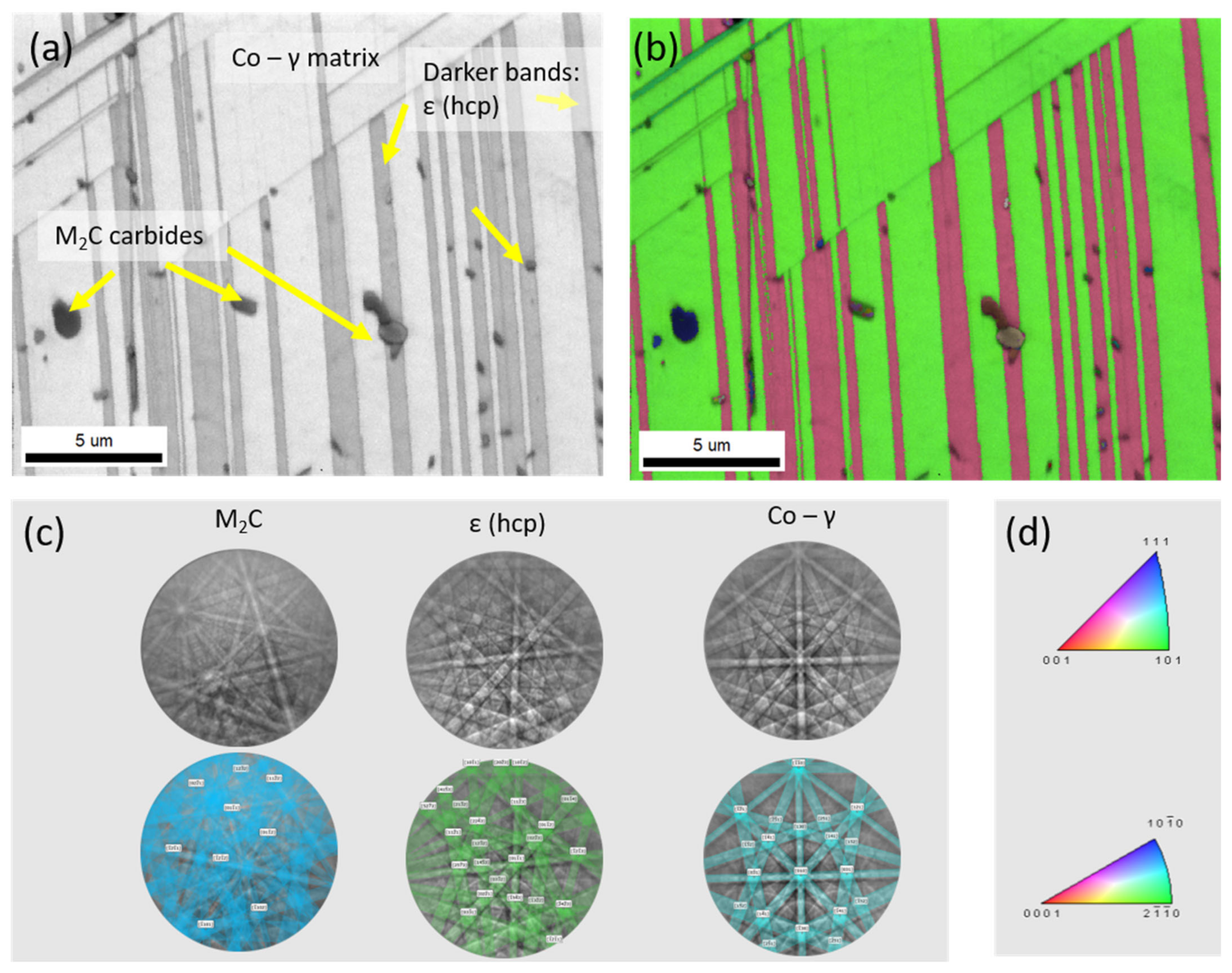 Metals 13 00637 g006