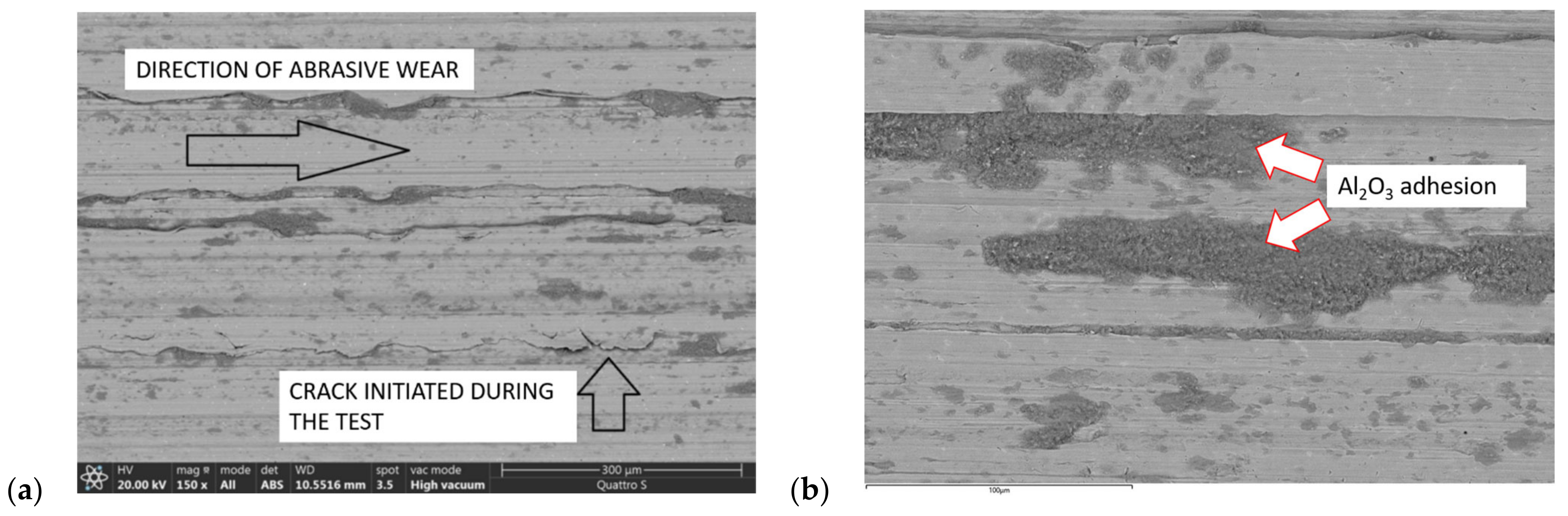 Metals 13 00637 g010