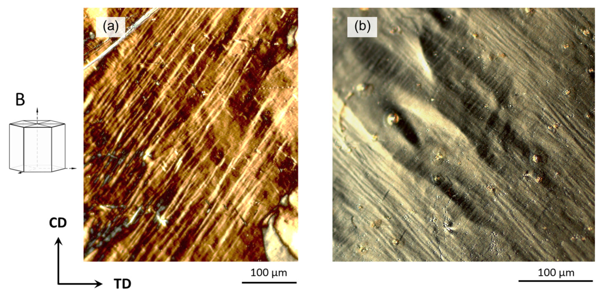 Metals 13 00640 g007